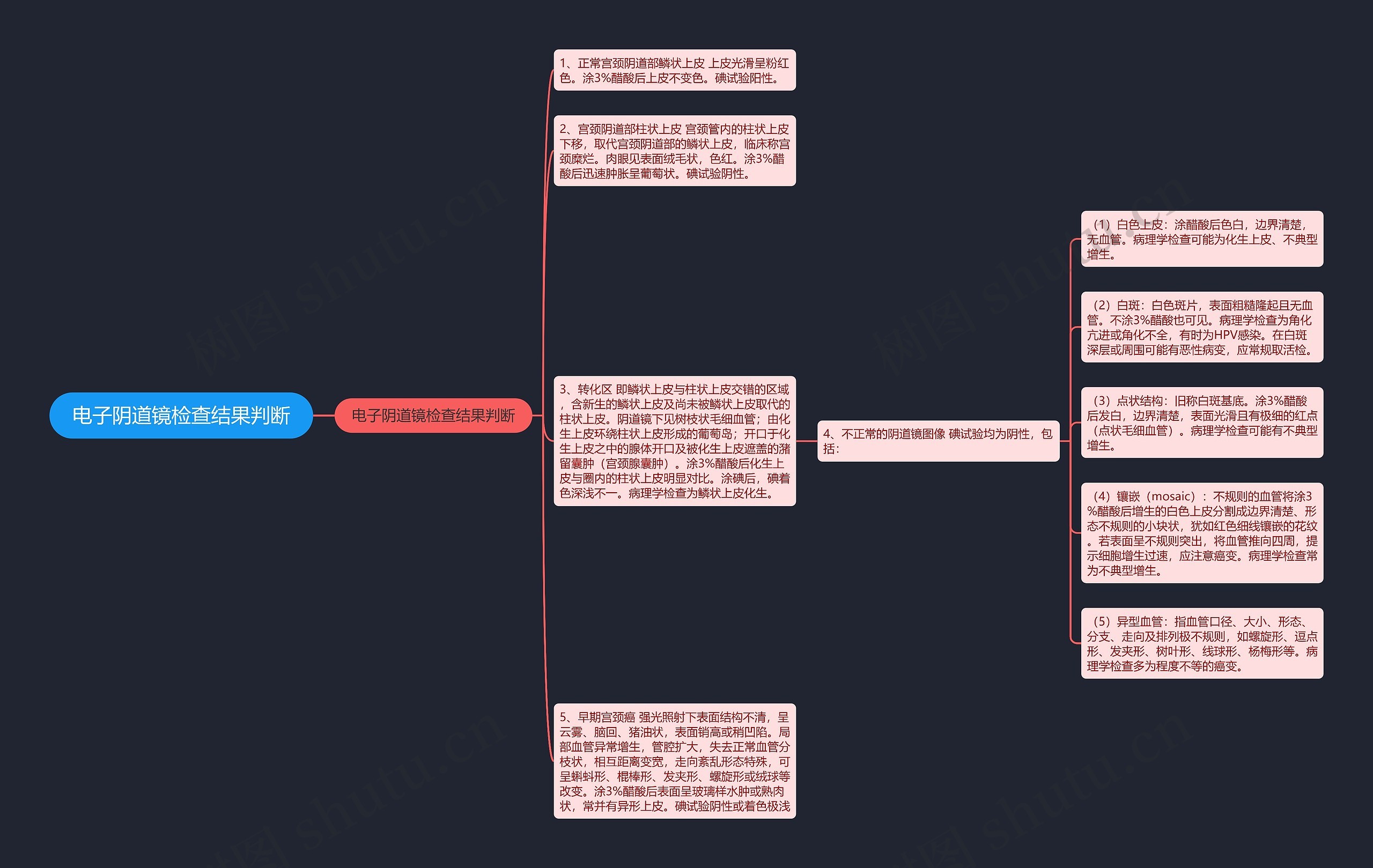 电子阴道镜检查结果判断思维导图