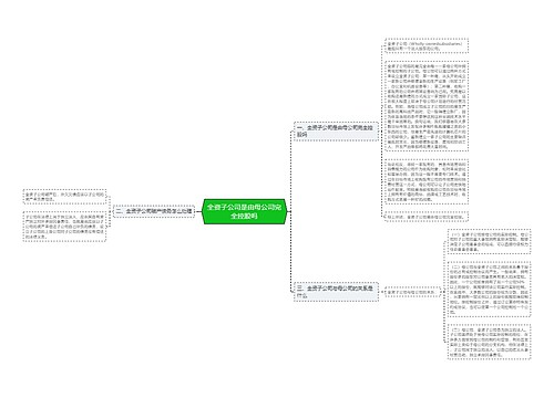 全资子公司是由母公司完全控股吗