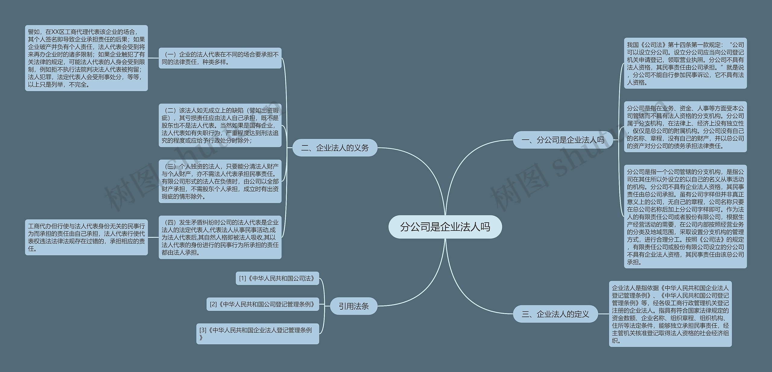 分公司是企业法人吗