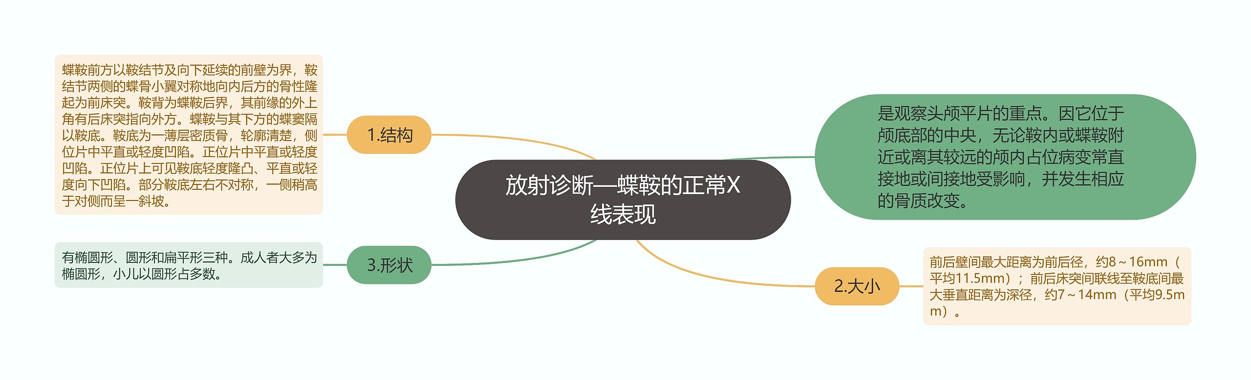 放射诊断—蝶鞍的正常X线表现