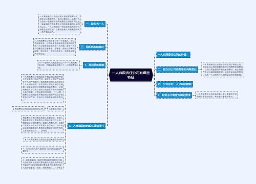 一人有限责任公司有哪些特征