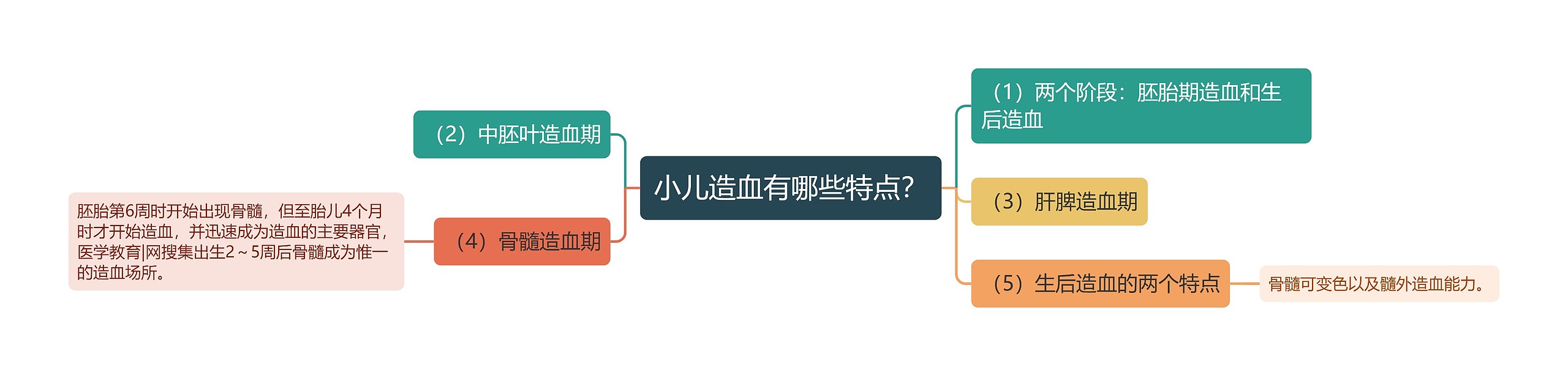 小儿造血有哪些特点? 小儿造血有哪些特点?