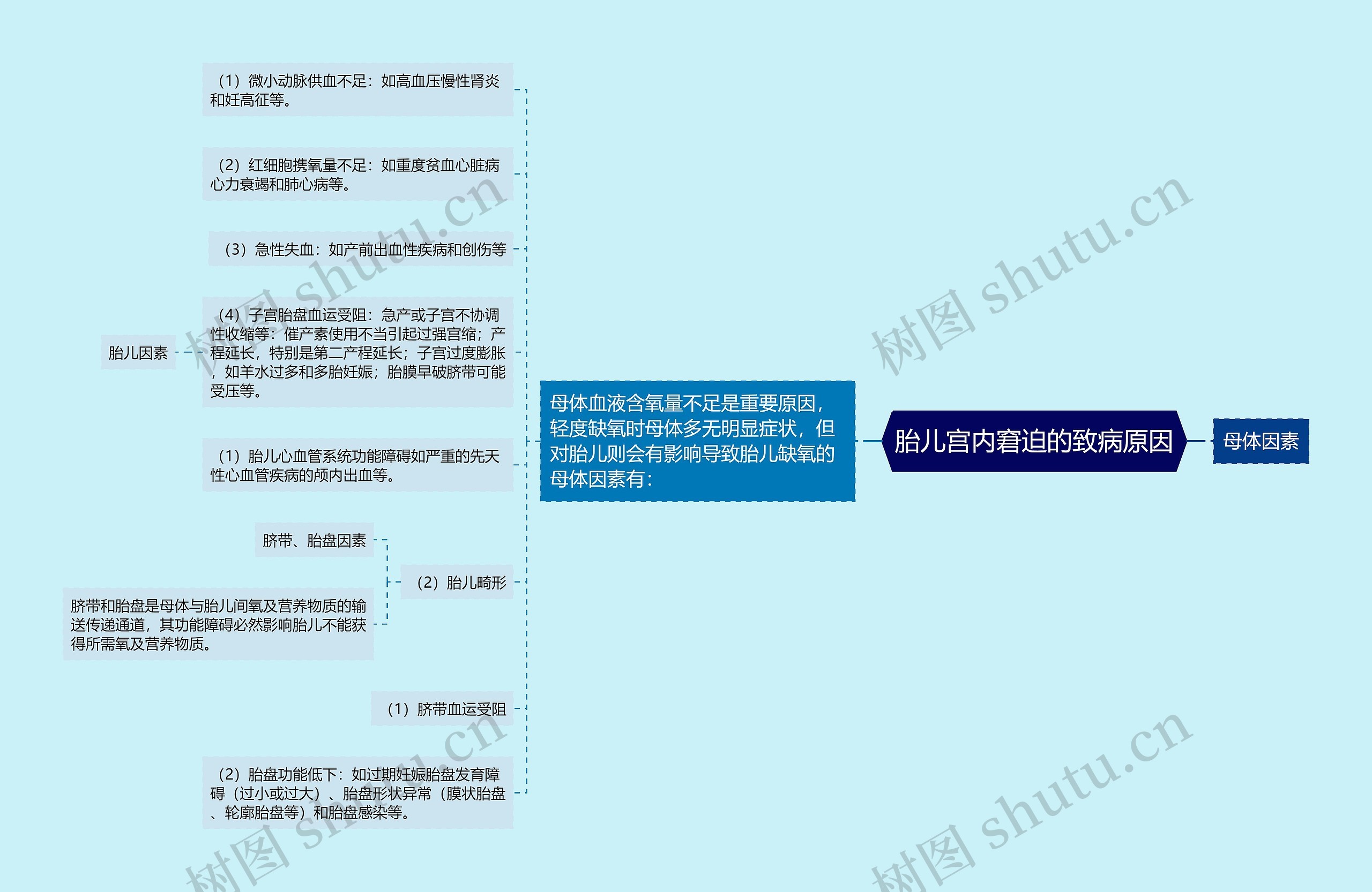 胎儿宫内窘迫的致病原因