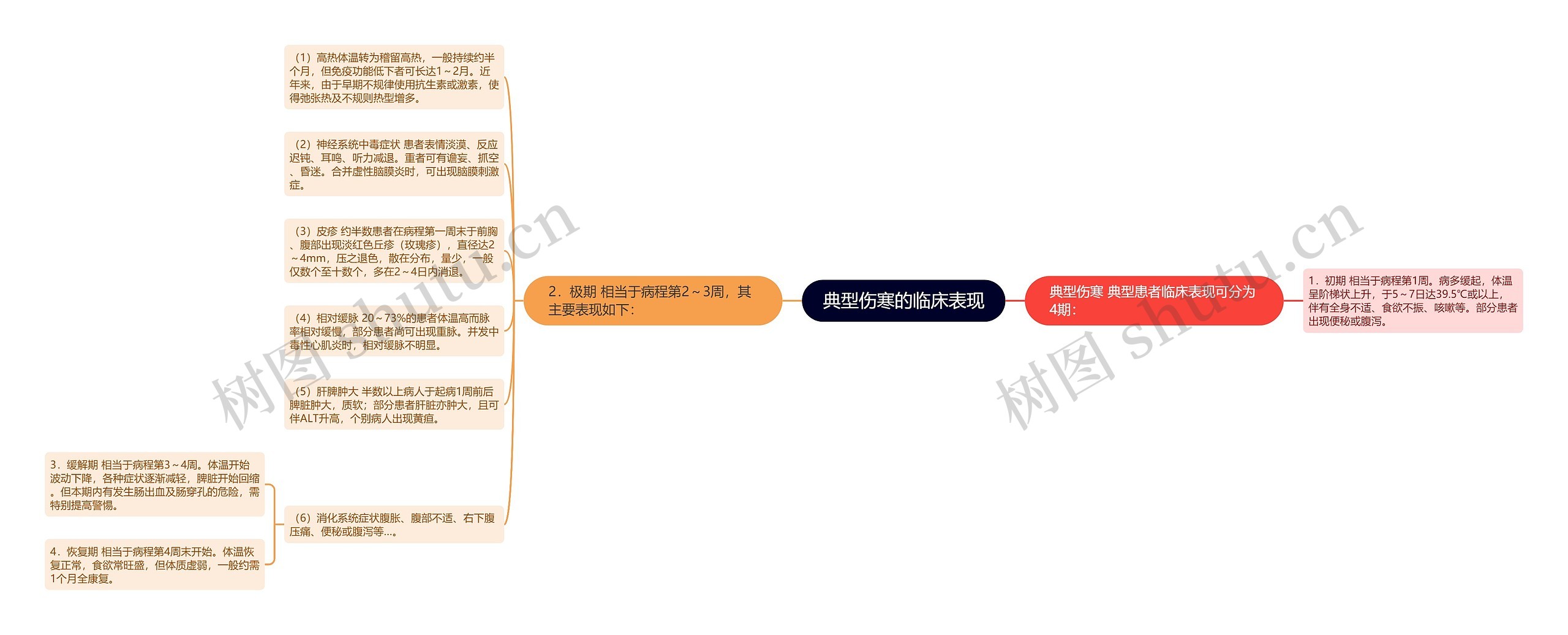 典型伤寒的临床表现思维导图