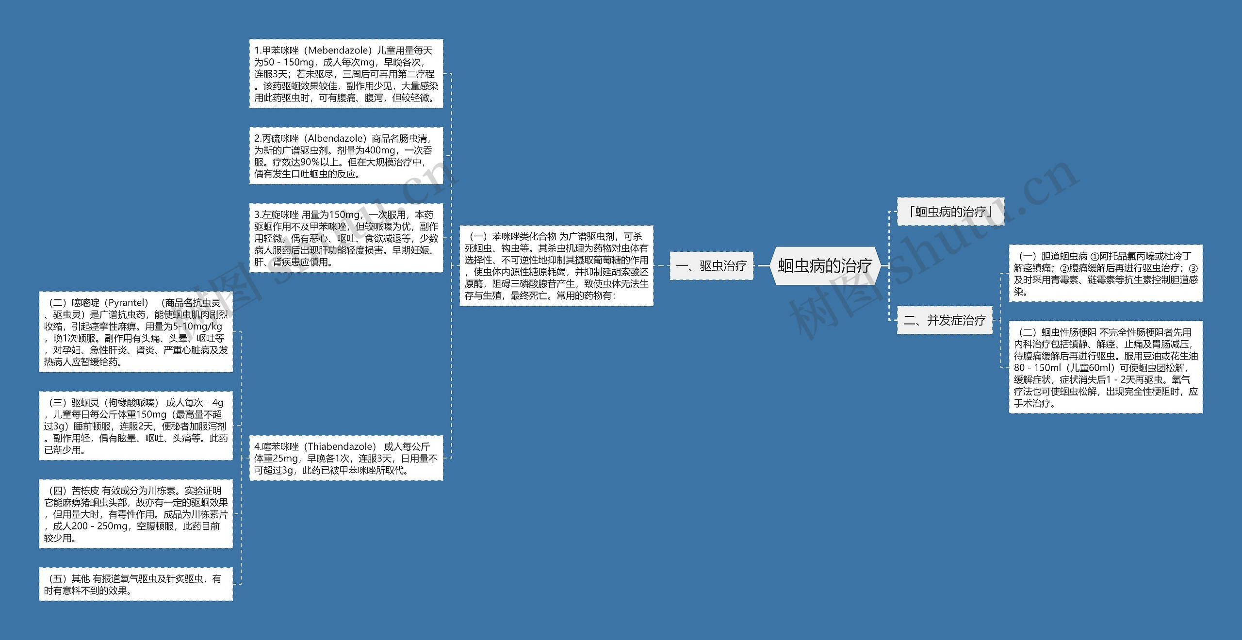 蛔虫病的治疗思维导图