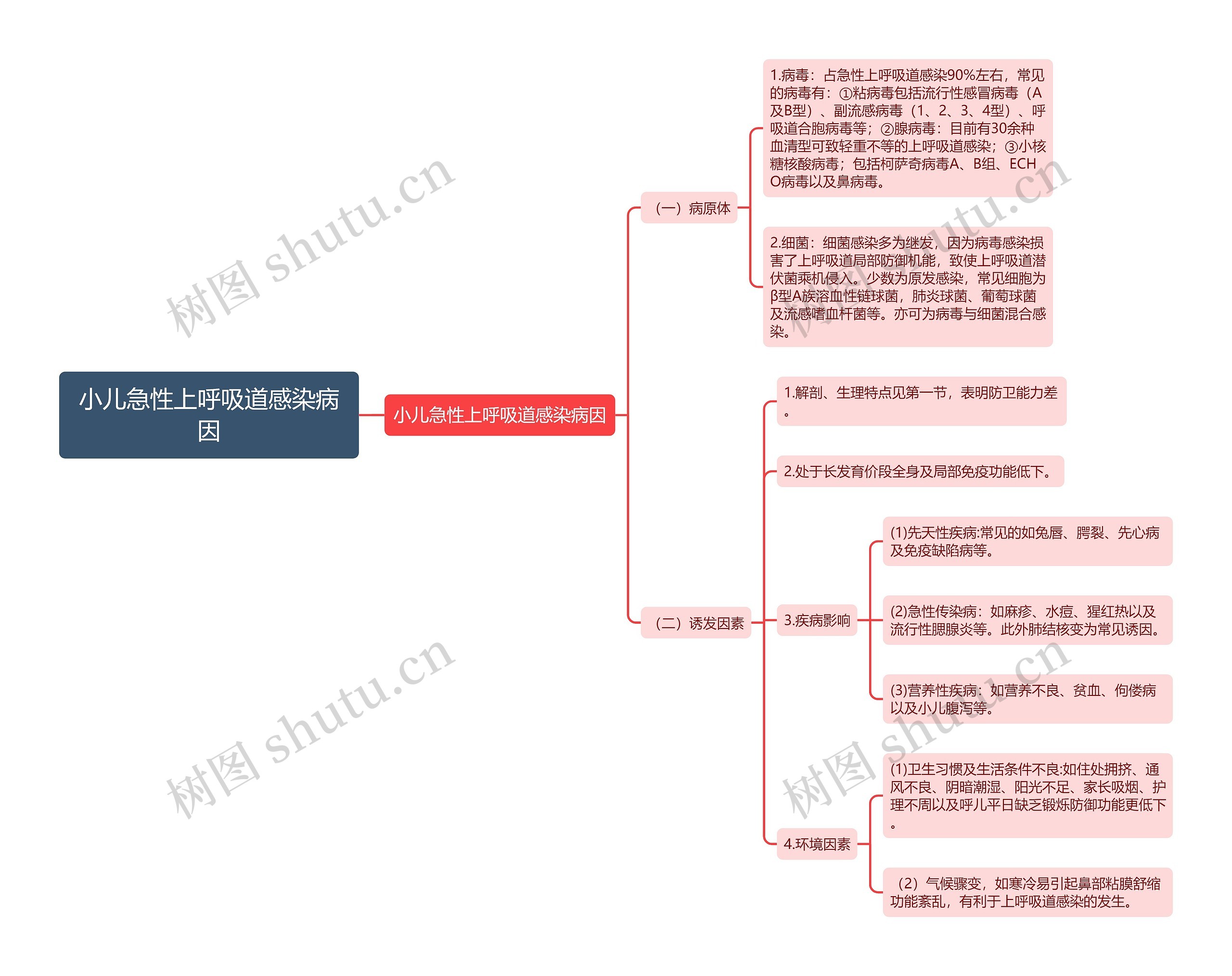 小儿急性上呼吸道感染病因思维导图