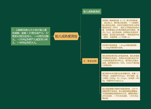 胎儿成熟度测定