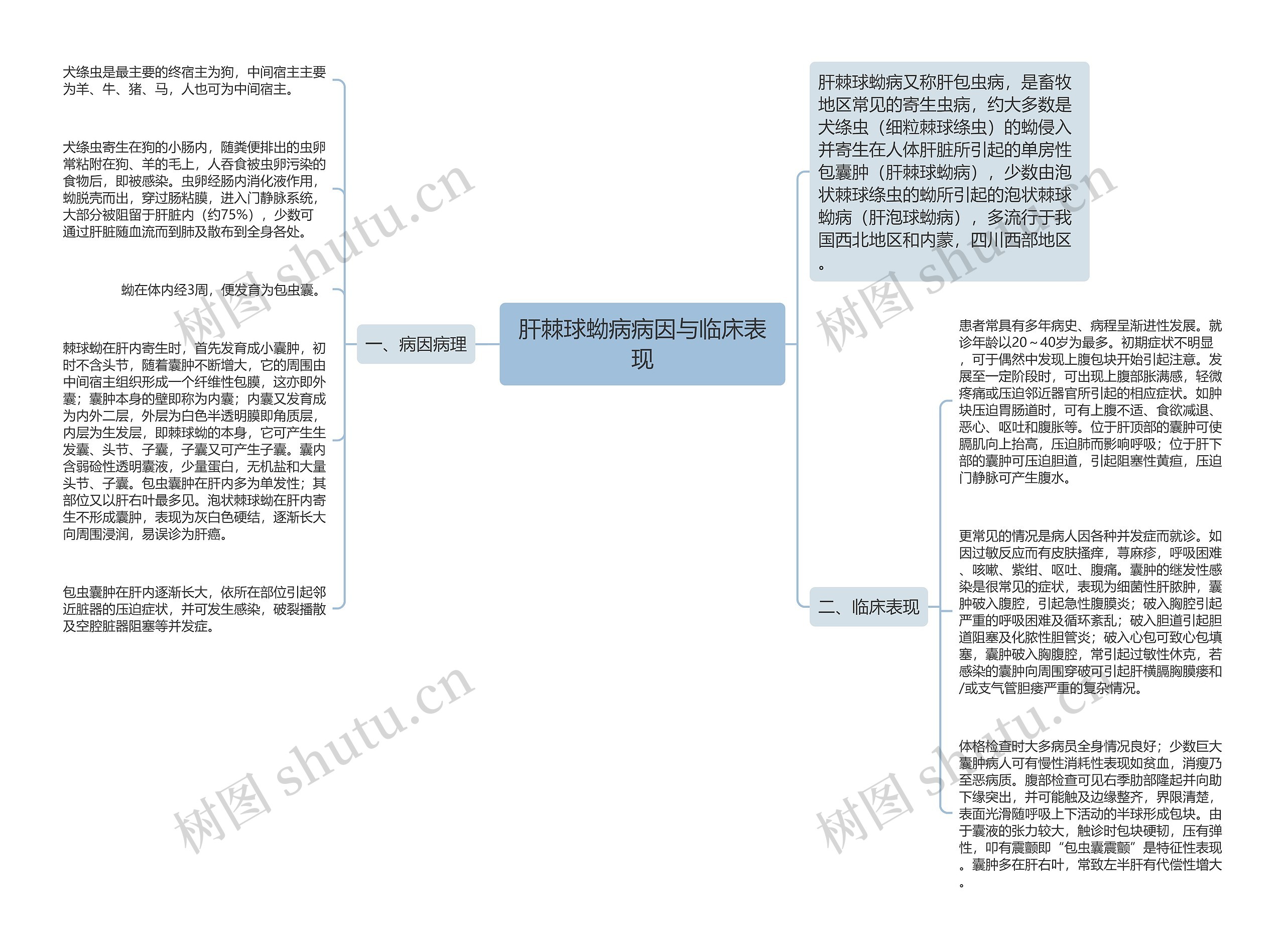 肝棘球蚴病病因与临床表现