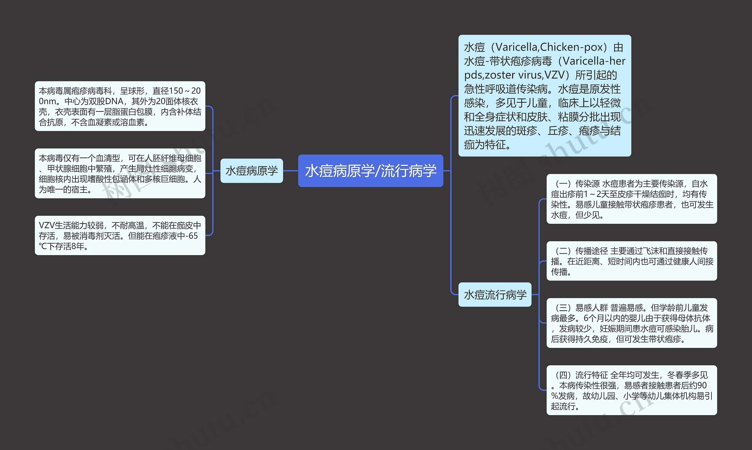 水痘病原学/流行病学