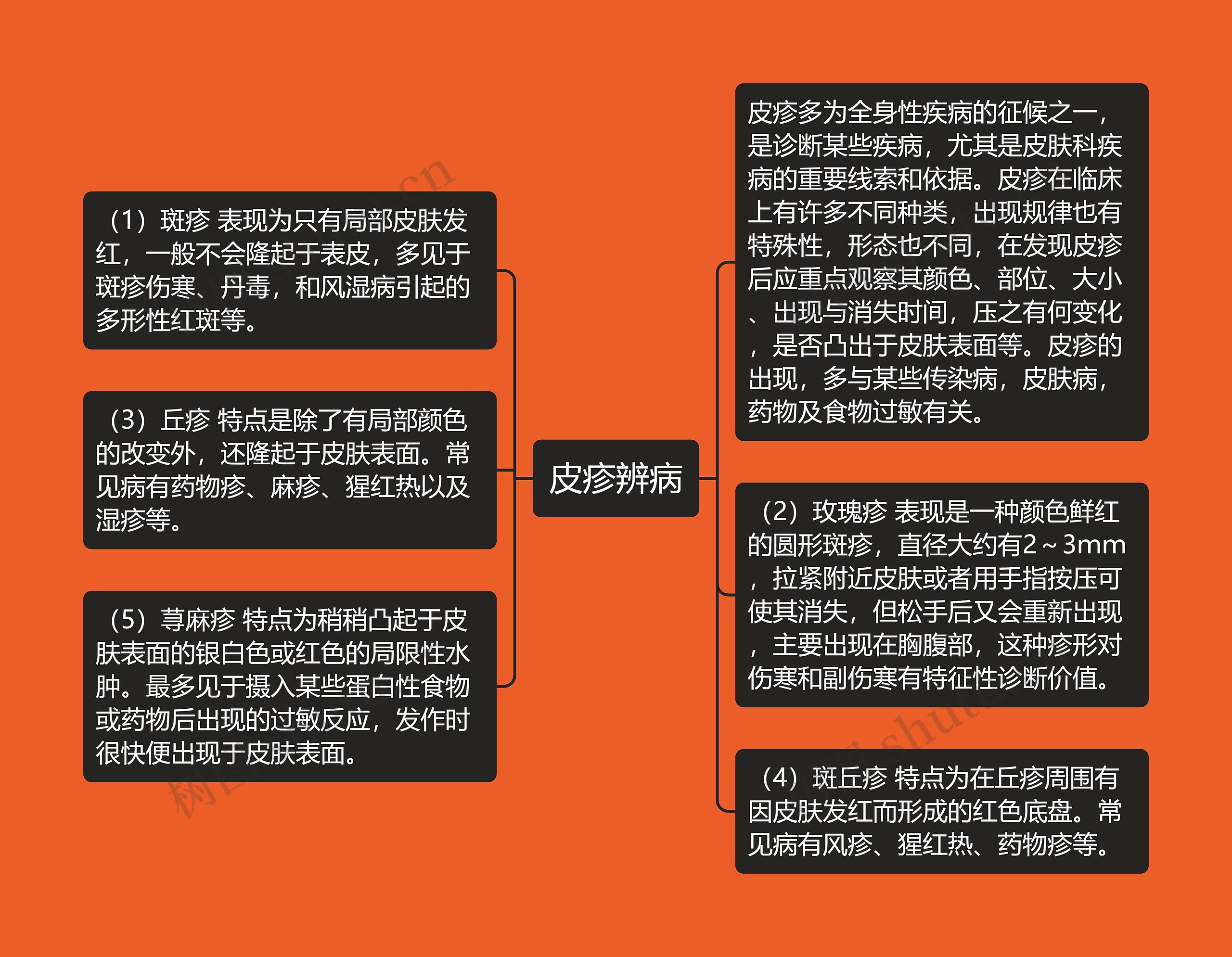 皮疹辨病 皮疹辨病