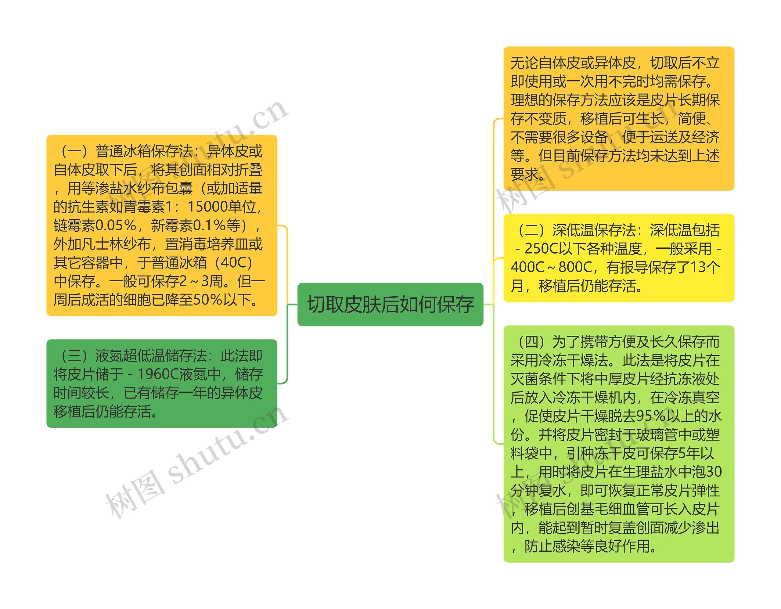 切取皮肤后如何保存思维导图