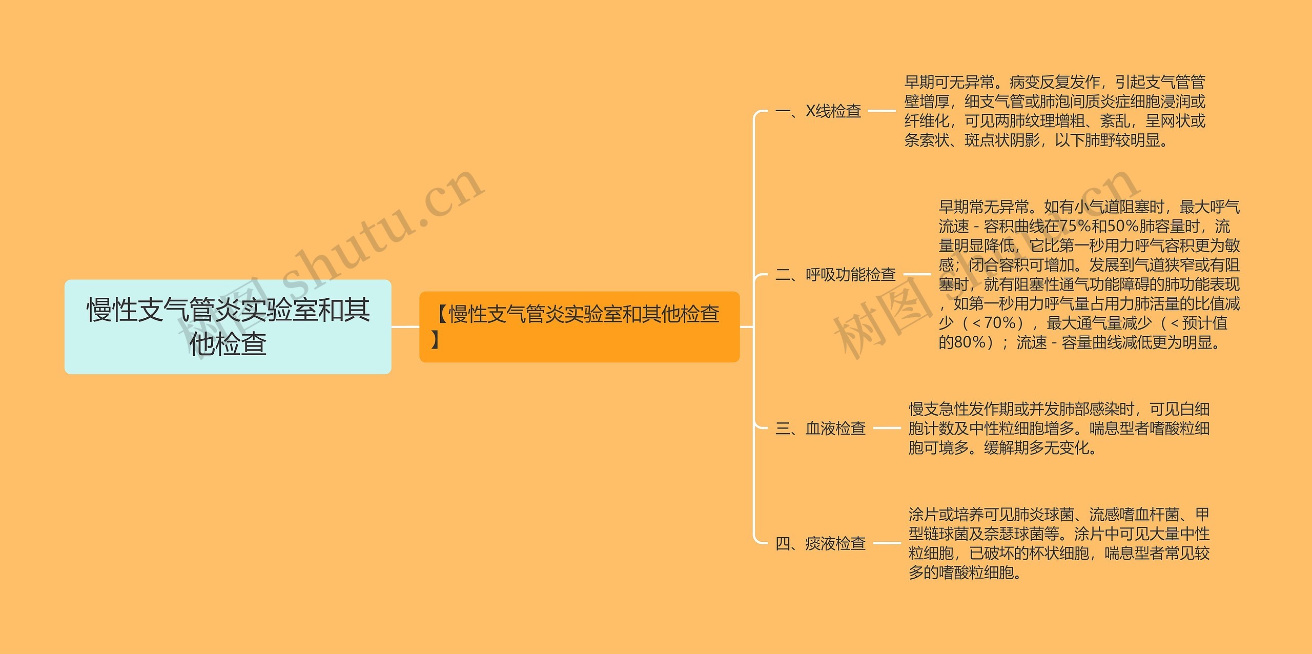 慢性支气管炎实验室和其他检查思维导图