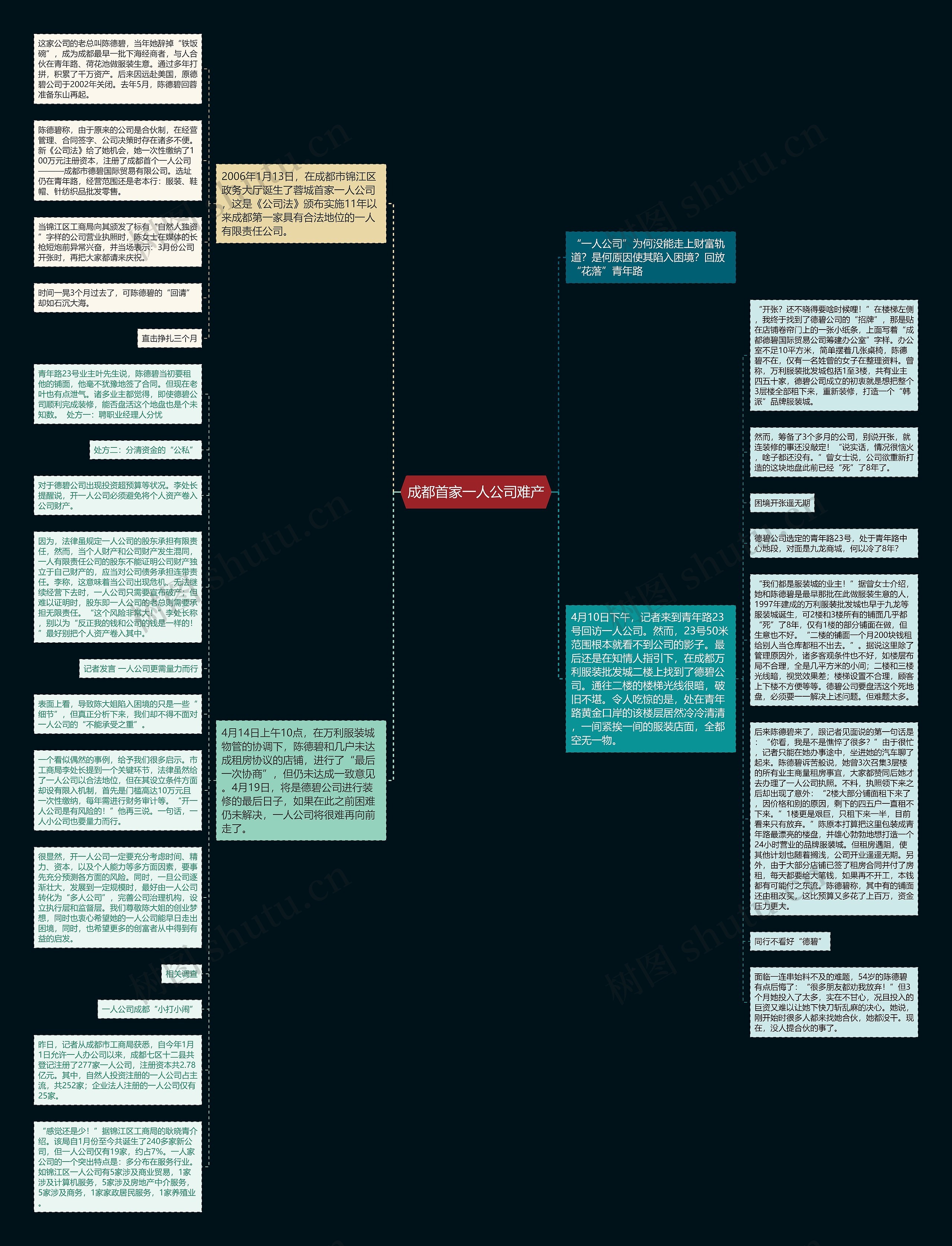 成都首家一人公司难产思维导图