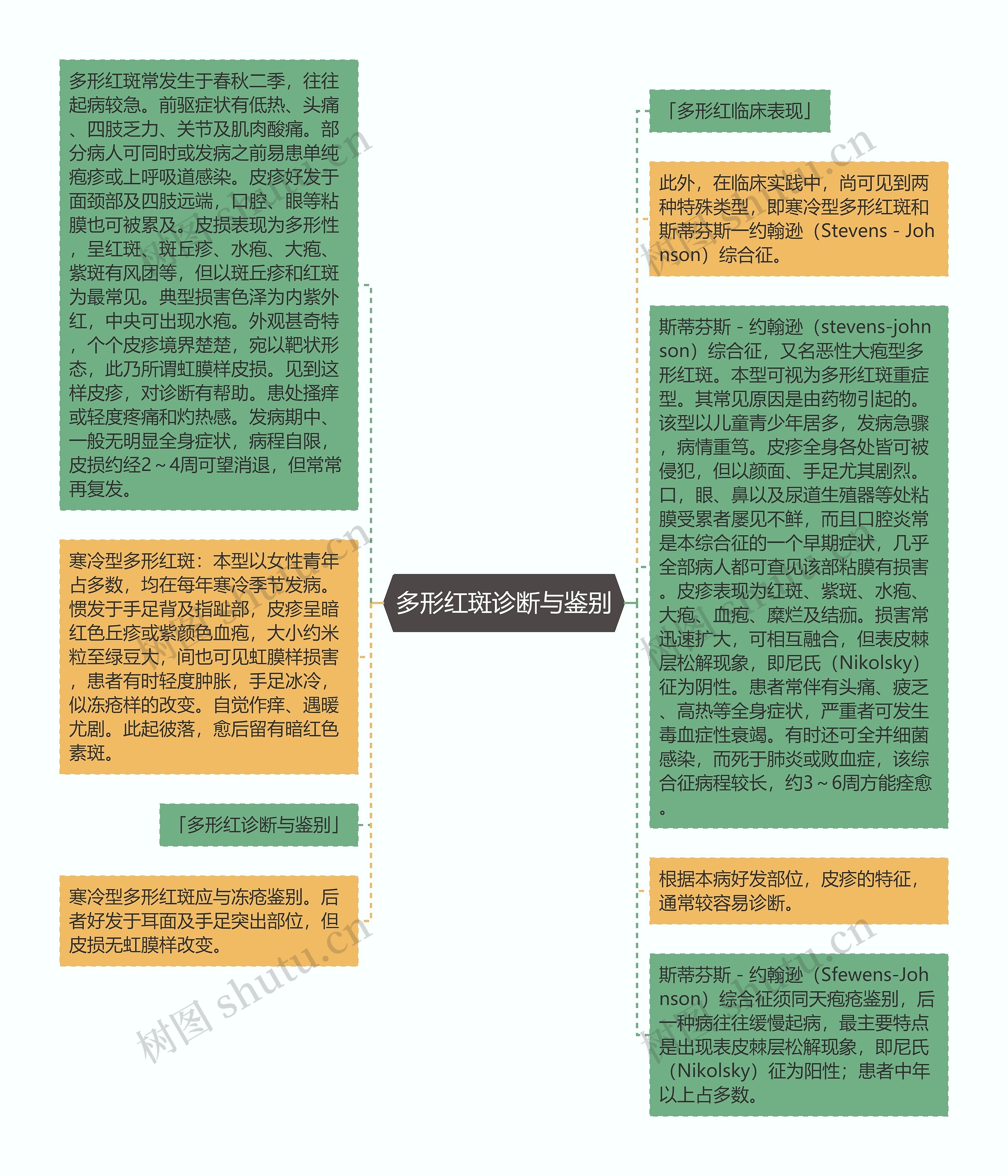 多形红斑诊断与鉴别思维导图