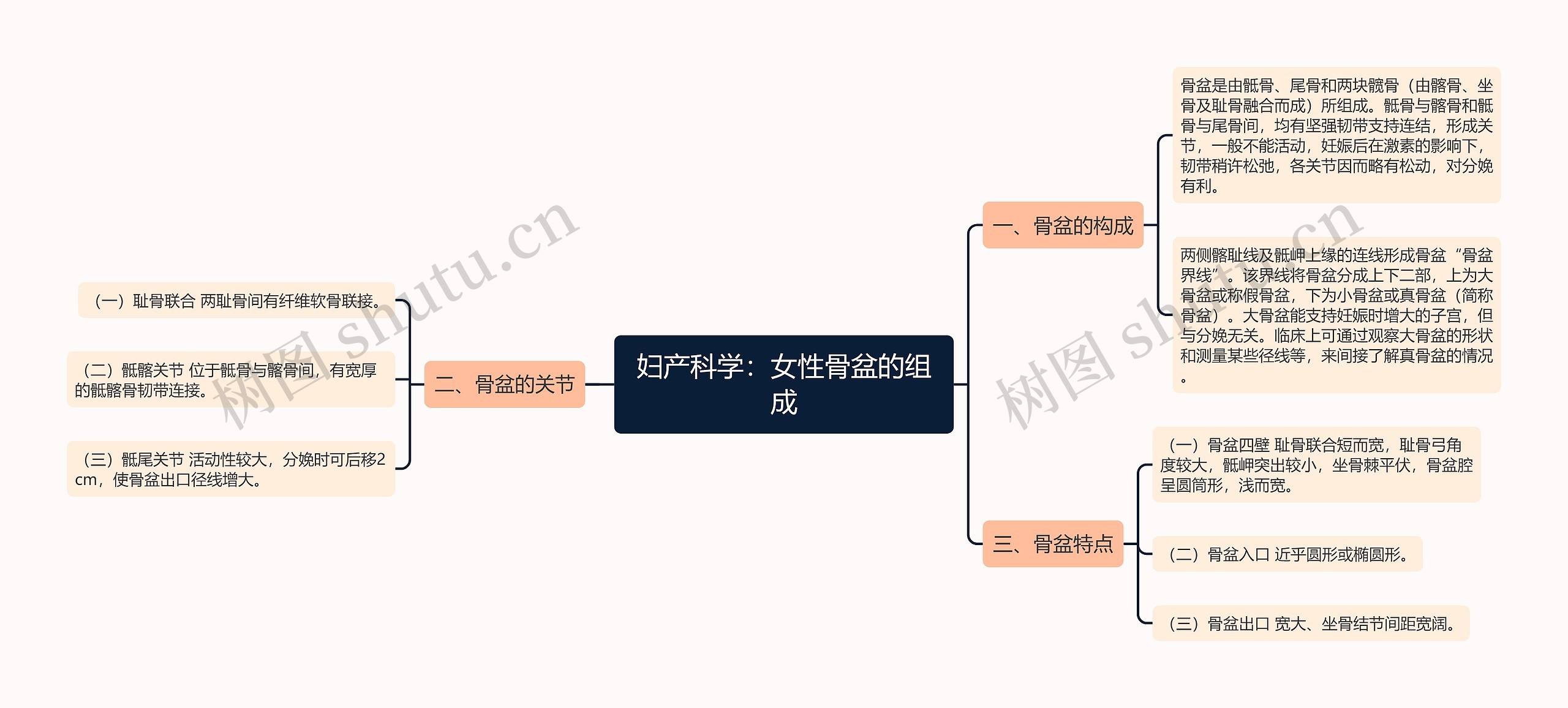 妇产科学：女性骨盆的组成