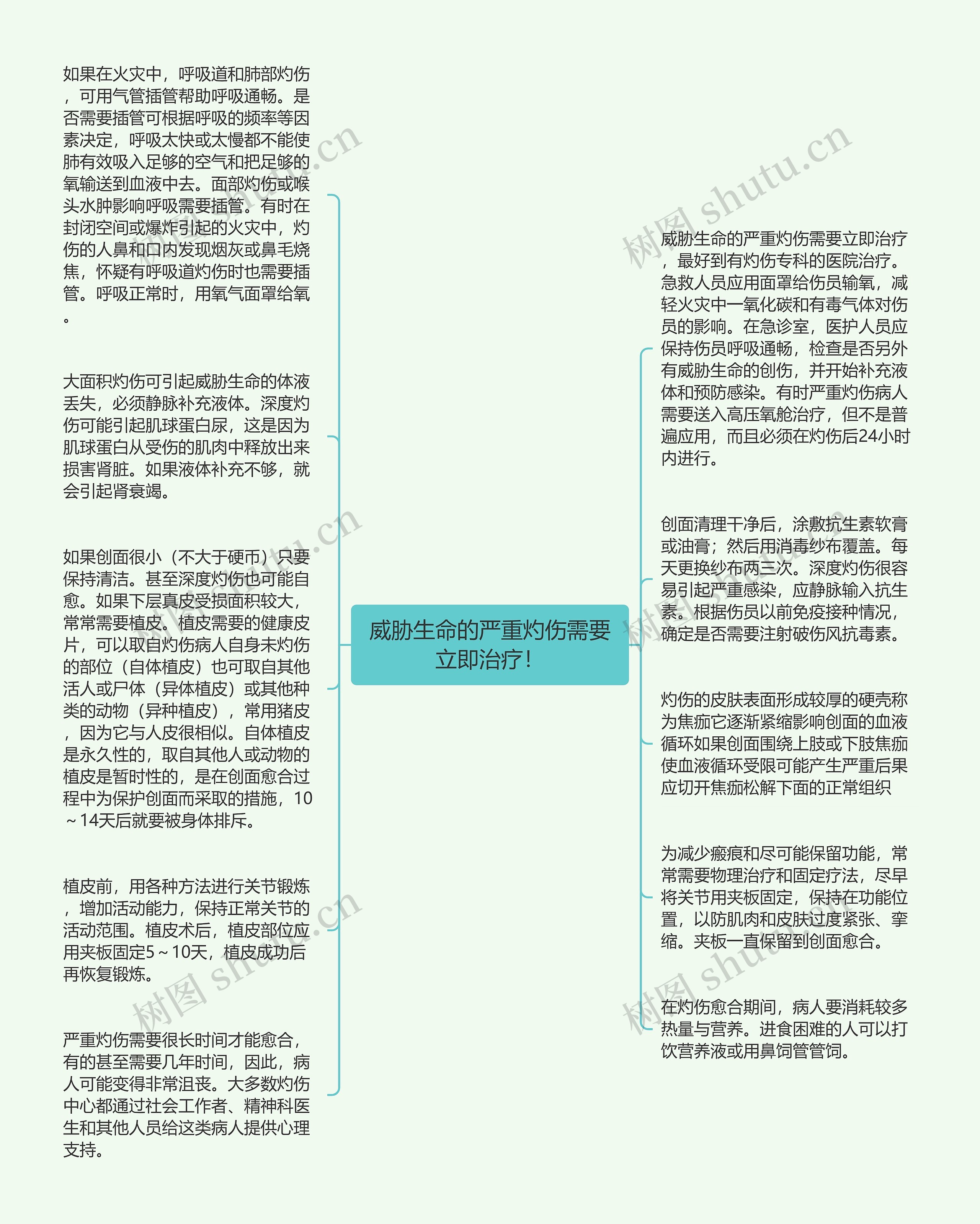 威胁生命的严重灼伤需要立即治疗！思维导图