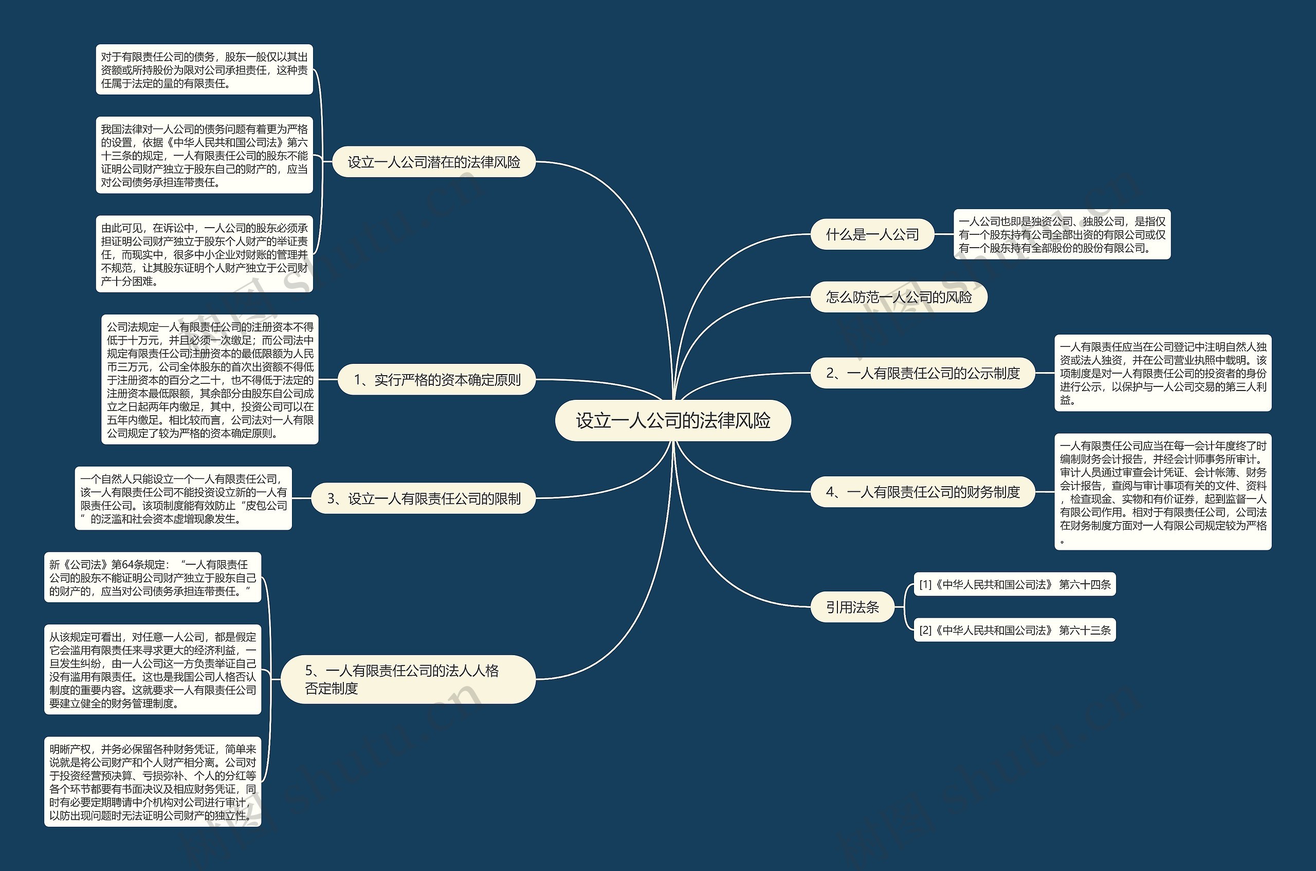 设立一人公司的法律风险思维导图