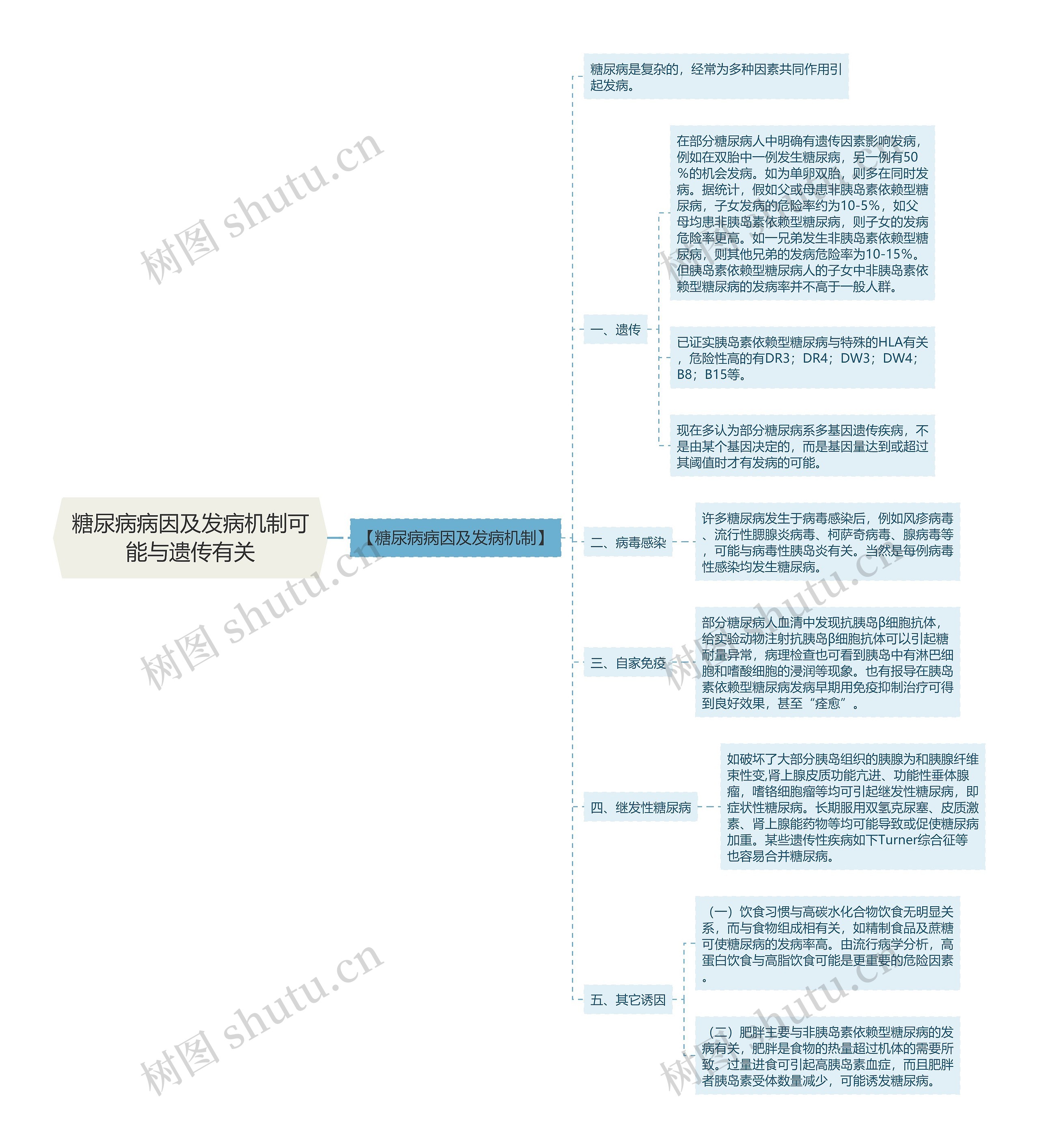 糖尿病病因及发病机制可能与遗传有关思维导图