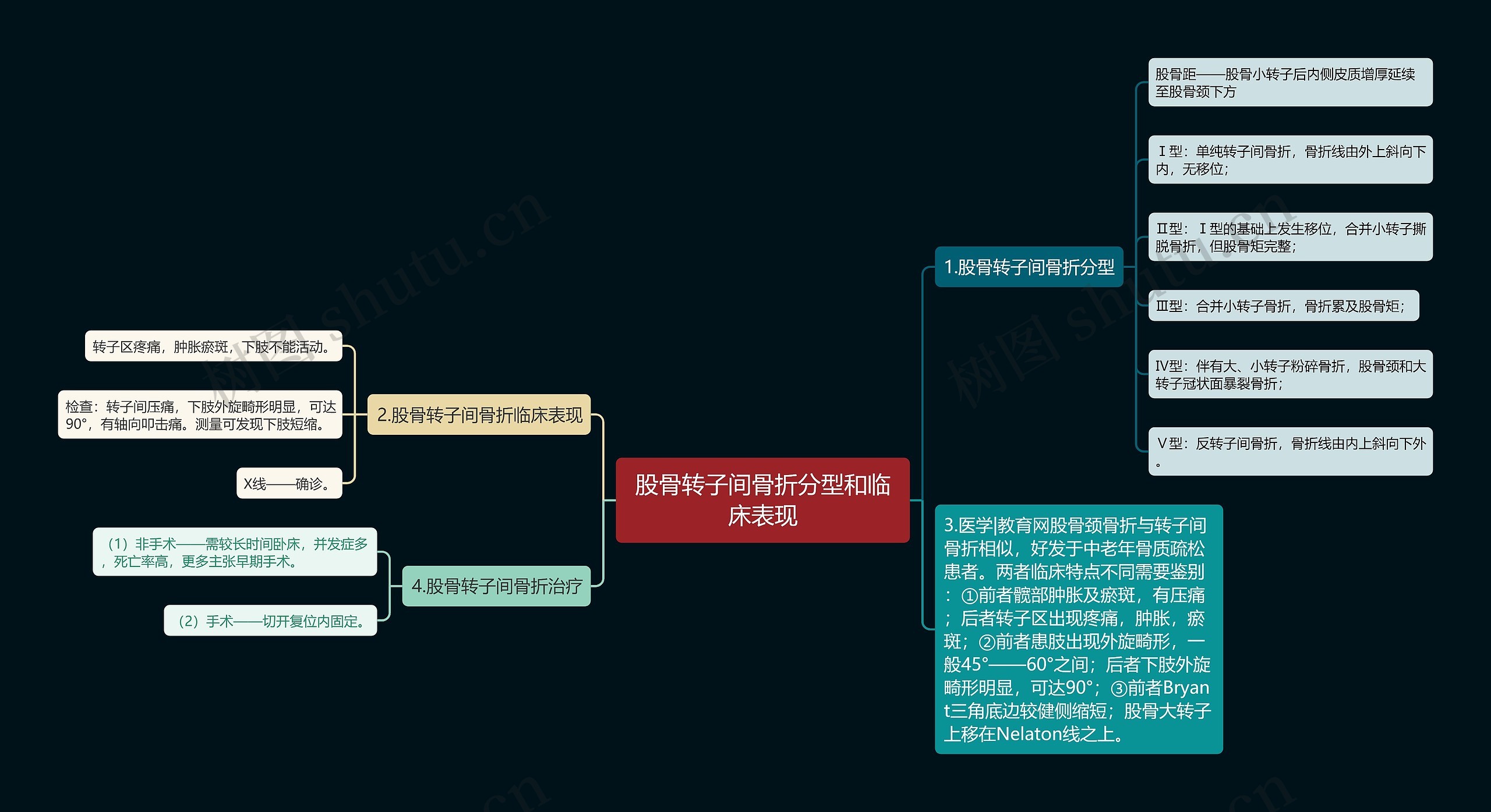 股骨转子间骨折分型和临床表现