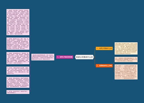 投资公司是做什么的