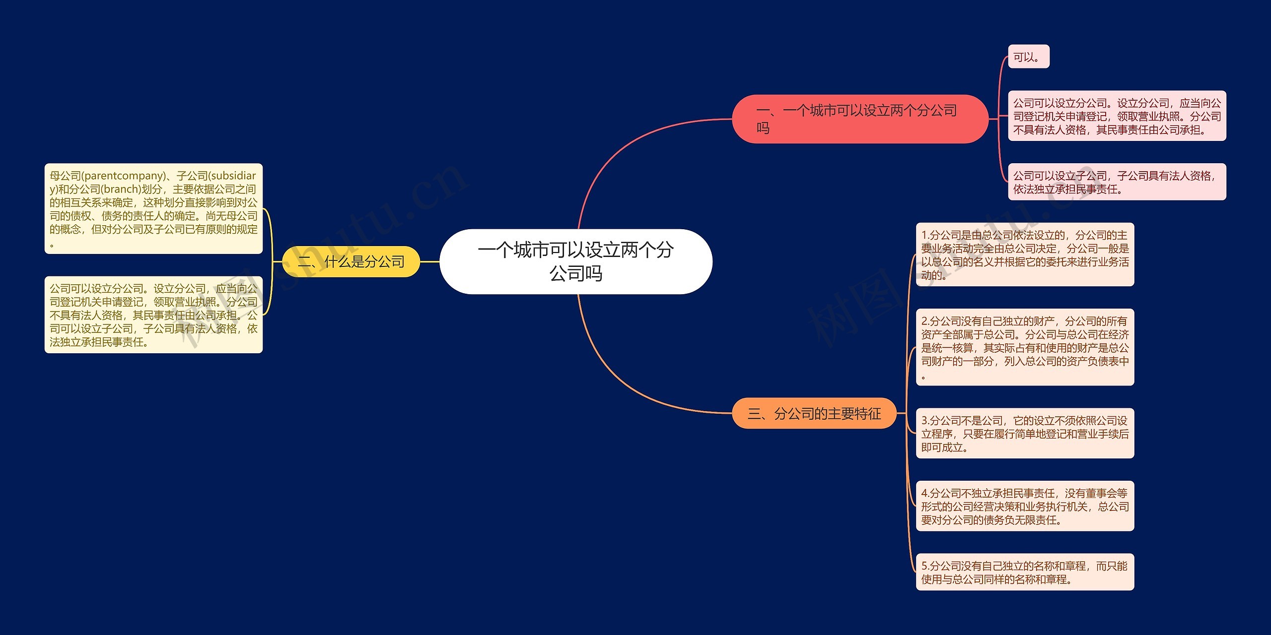 一个城市可以设立两个分公司吗思维导图