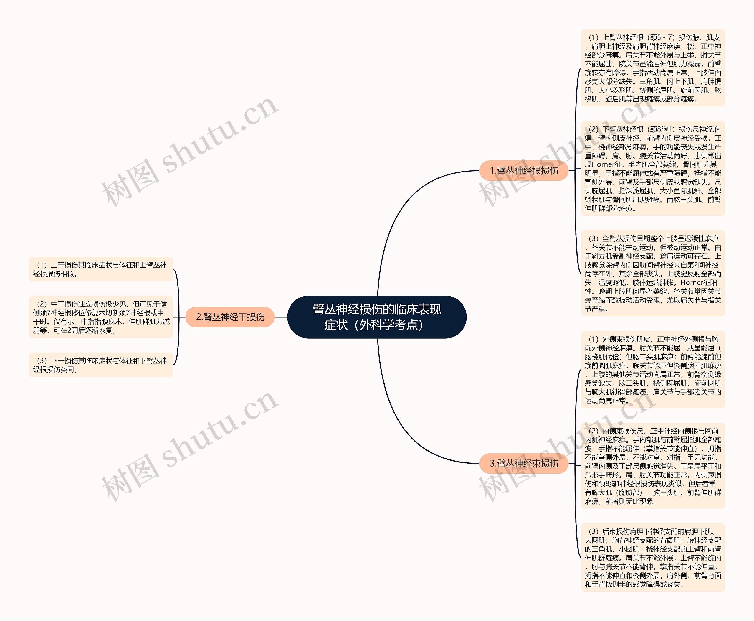 臂丛神经损伤的临床表现症状（外科学考点）思维导图