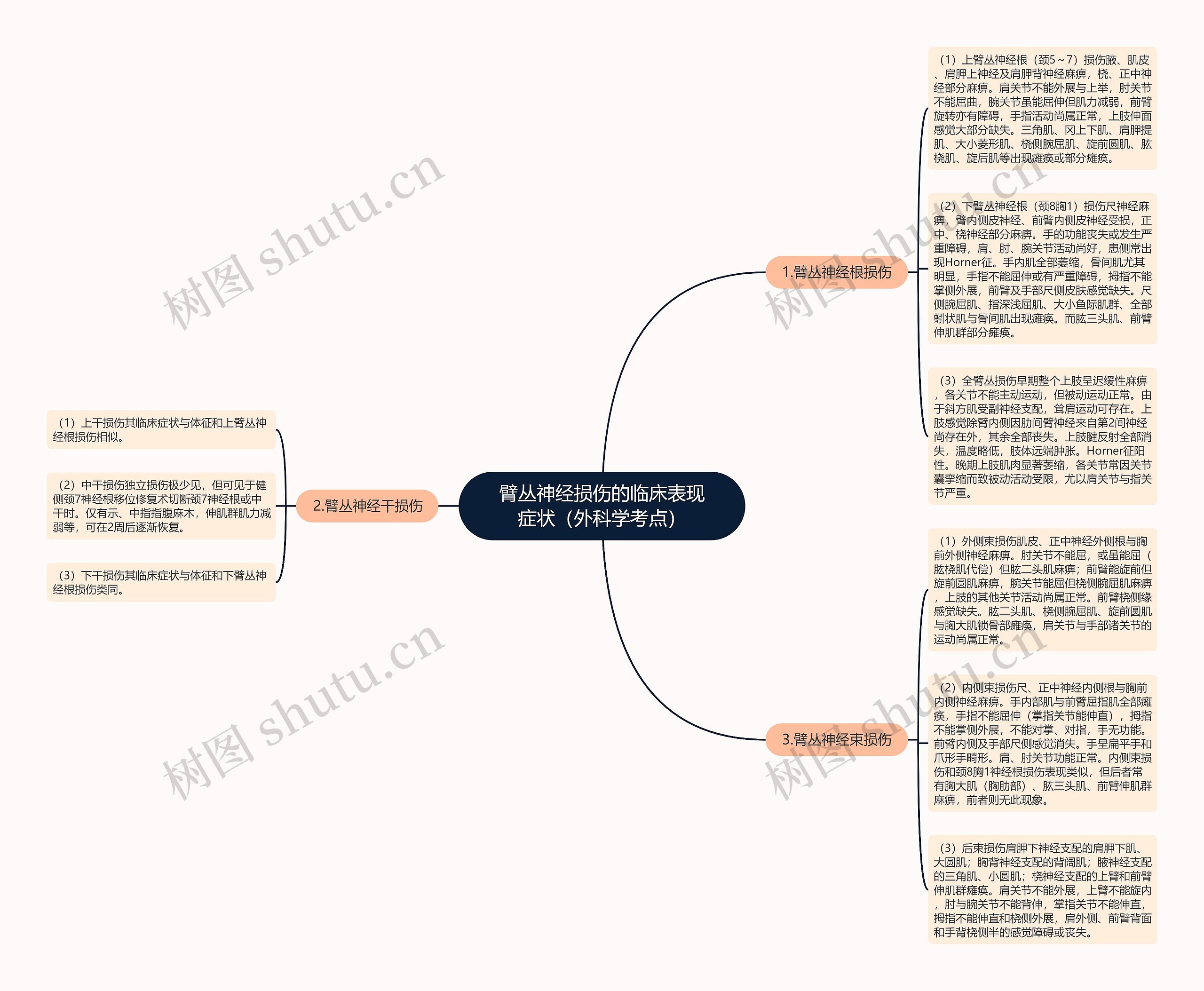 臂丛神经损伤的临床表现症状(外科学考点) 臂丛神经损伤的临床表现症状(外科学考点)
