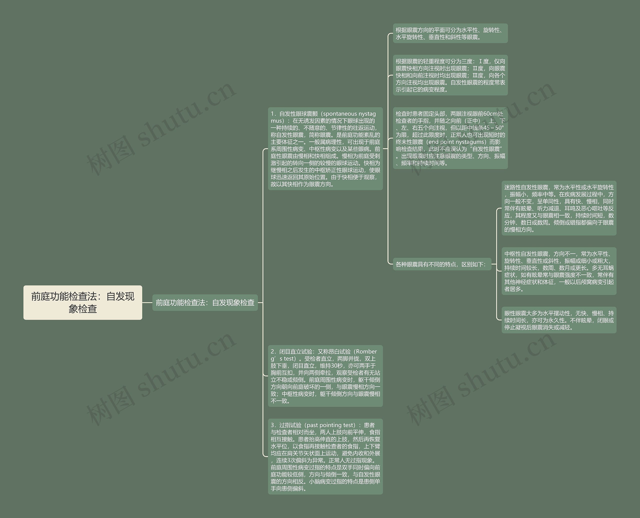 前庭功能检查法:自发现象检查 前庭功能检查法:自发现象检查