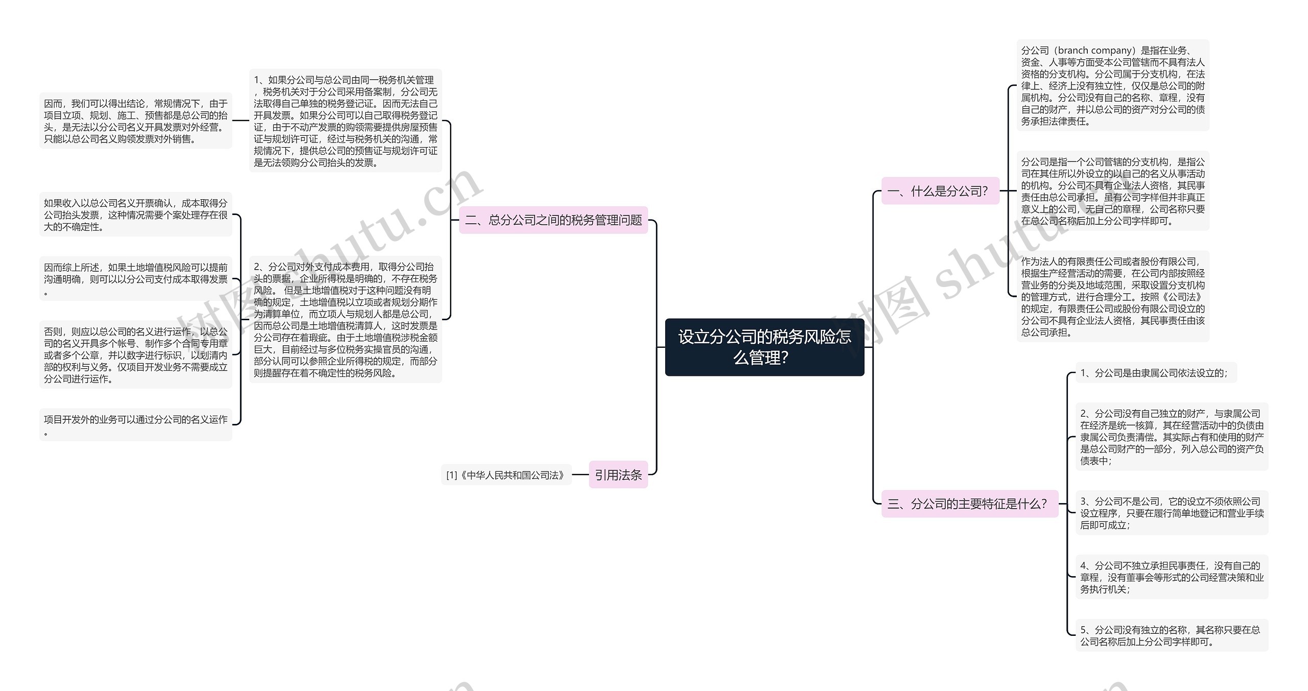 设立分公司的税务风险怎么管理？思维导图