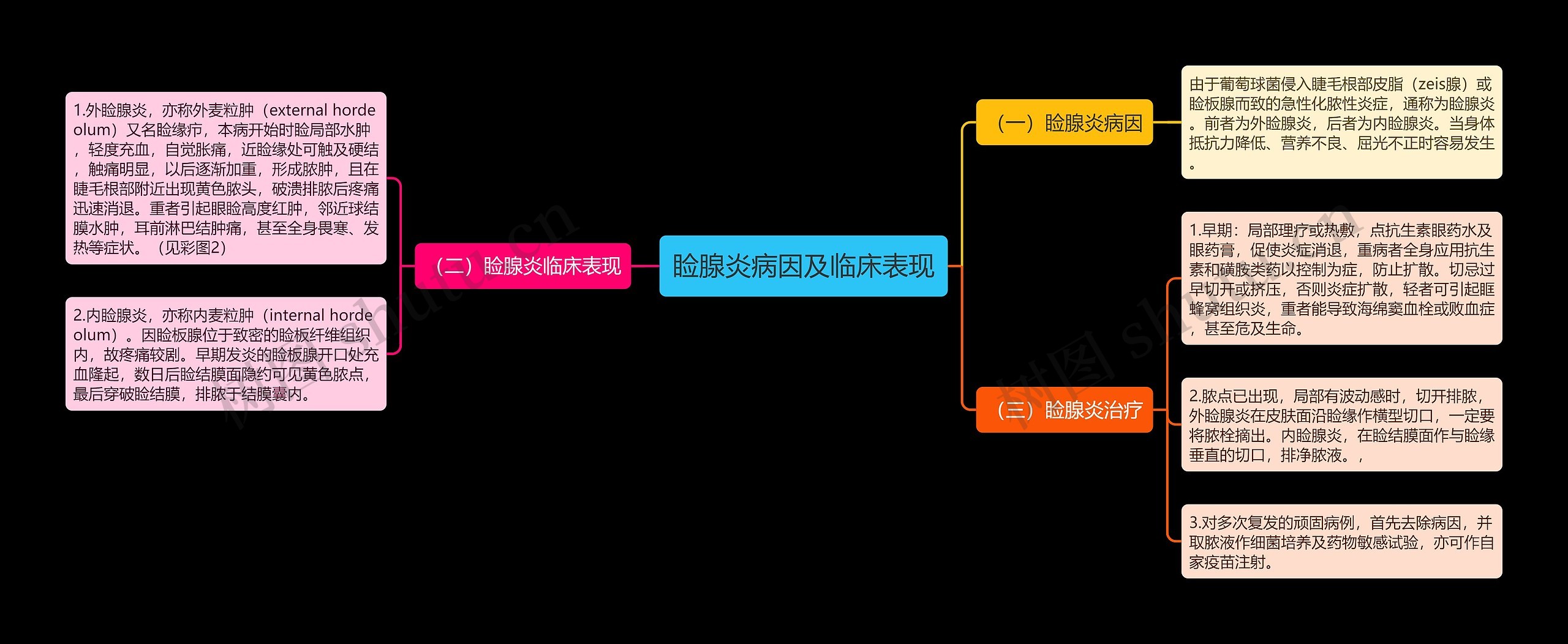 睑腺炎病因及临床表现