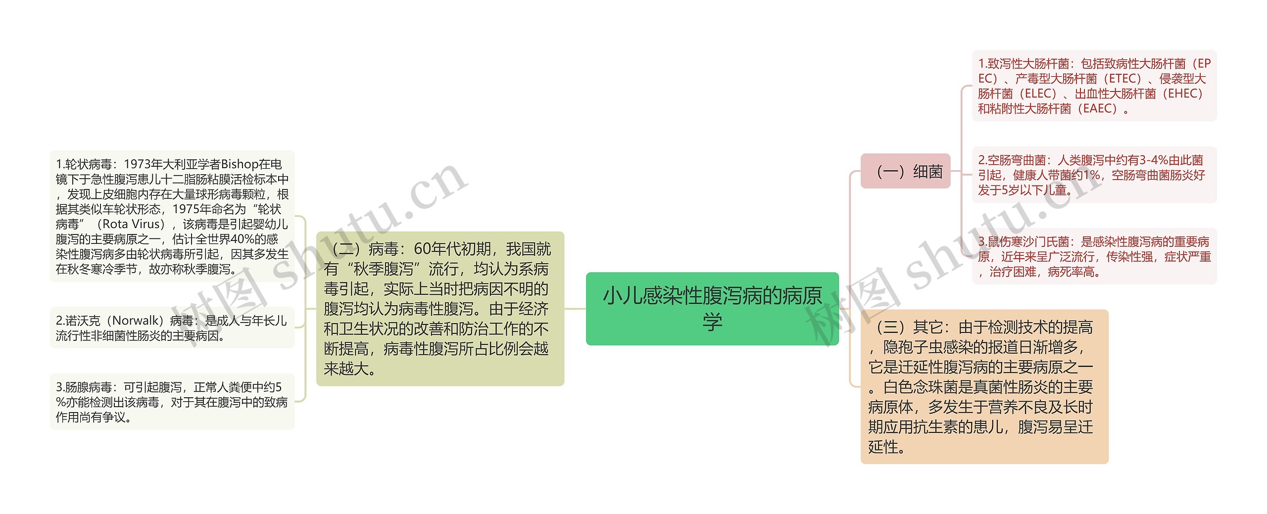 小儿感染性腹泻病的病原学 小儿感染性腹泻病的病原学