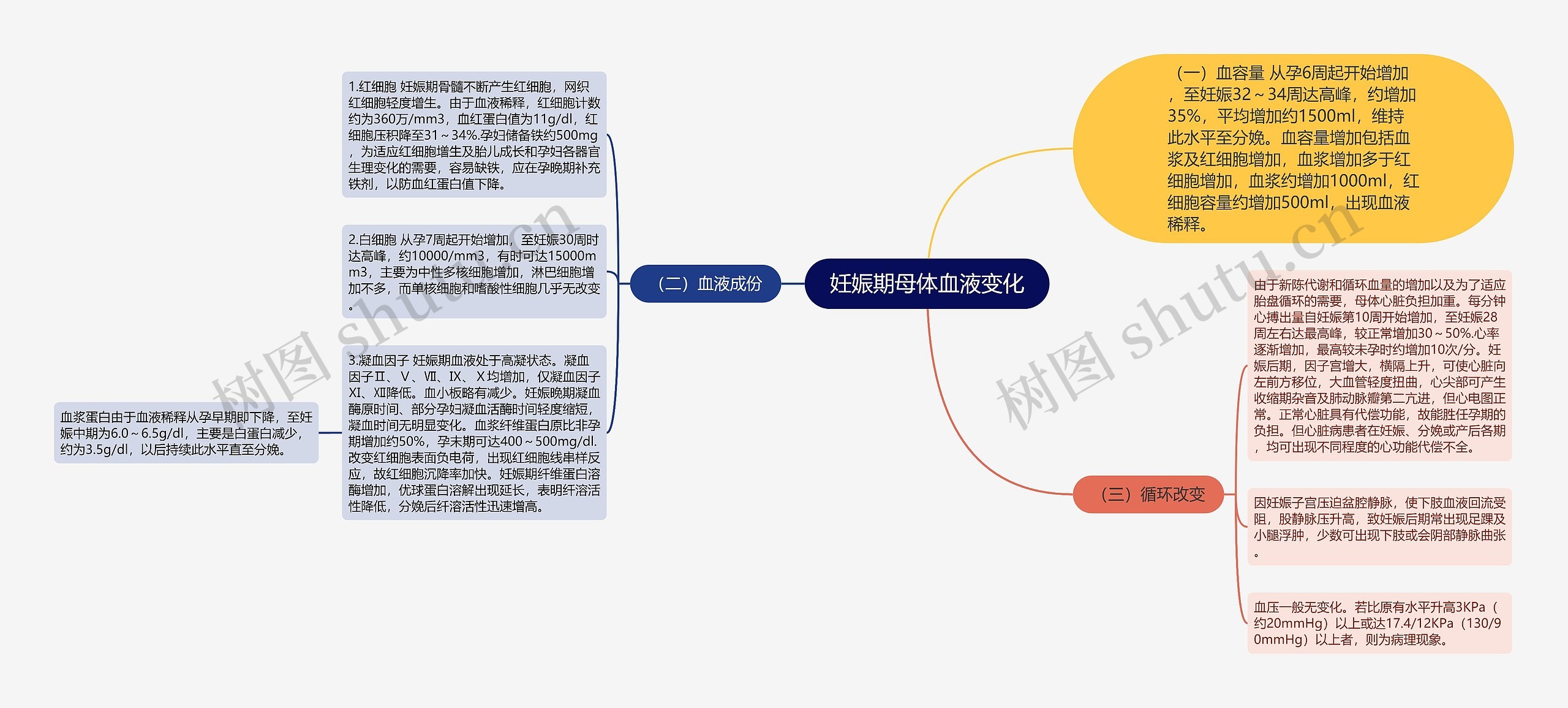 妊娠期母体血液变化思维导图