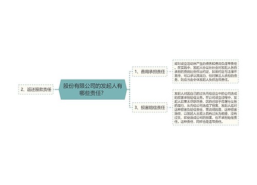 股份有限公司的发起人有哪些责任？