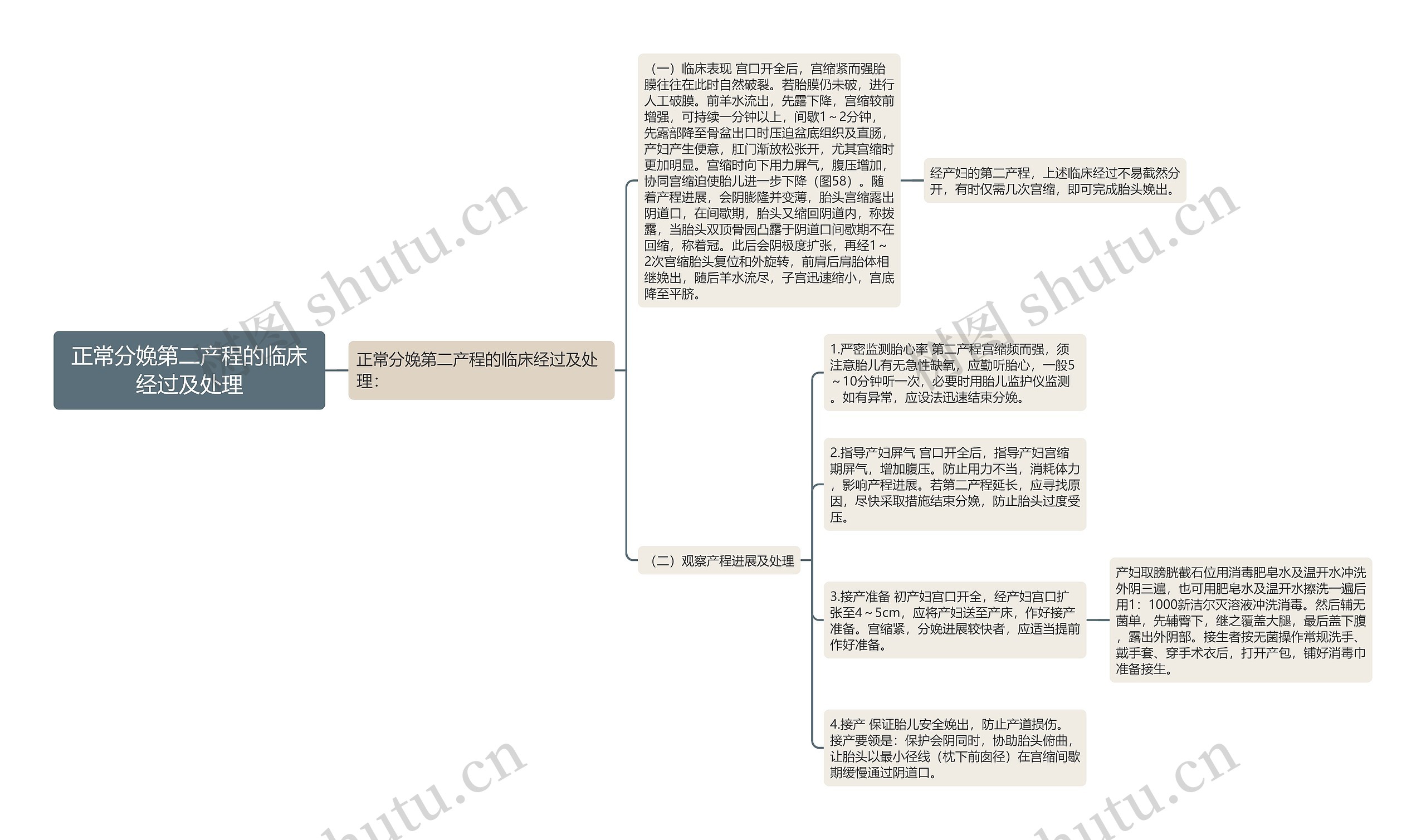 正常分娩第二产程的临床经过及处理思维导图