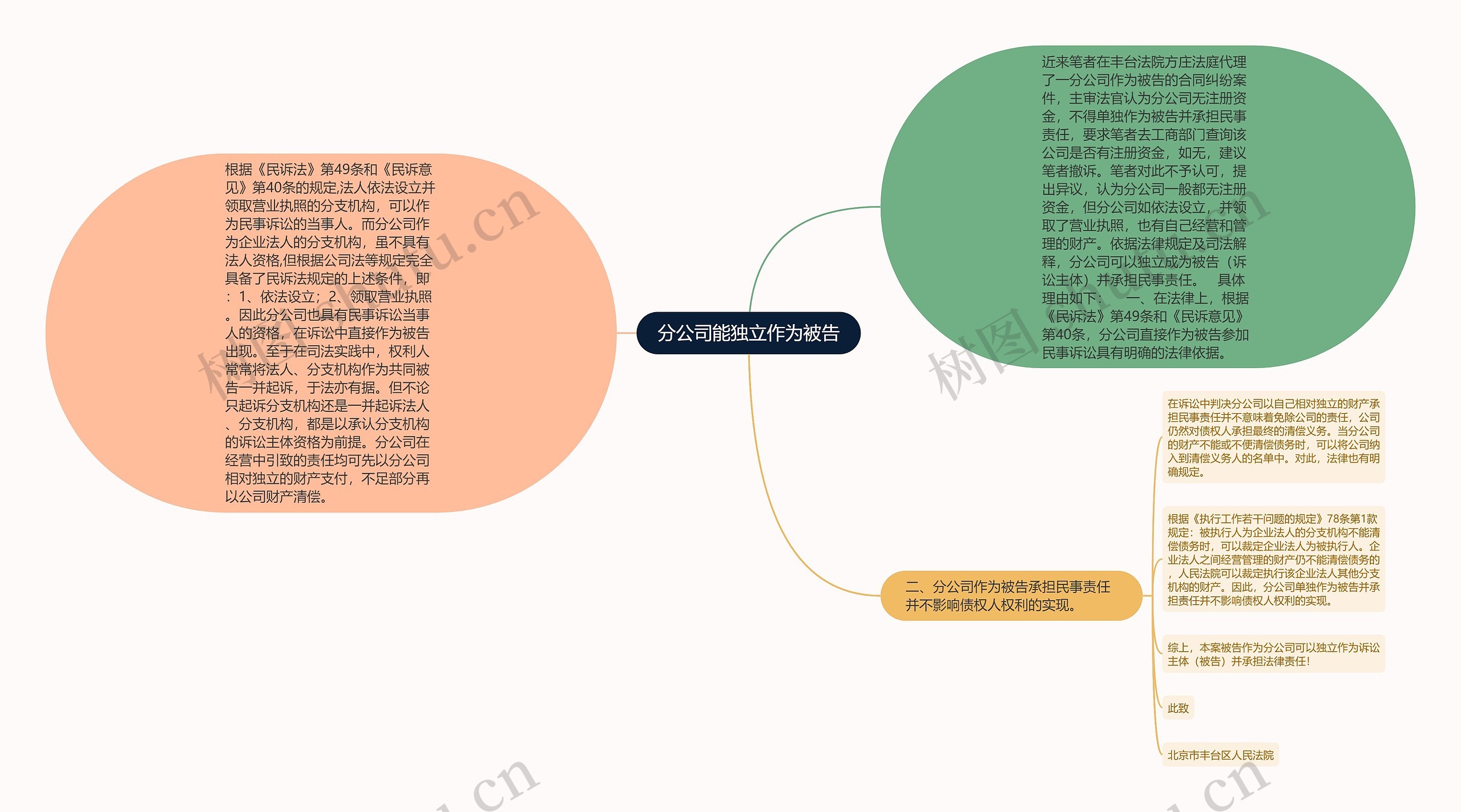 分公司能独立作为被告思维导图