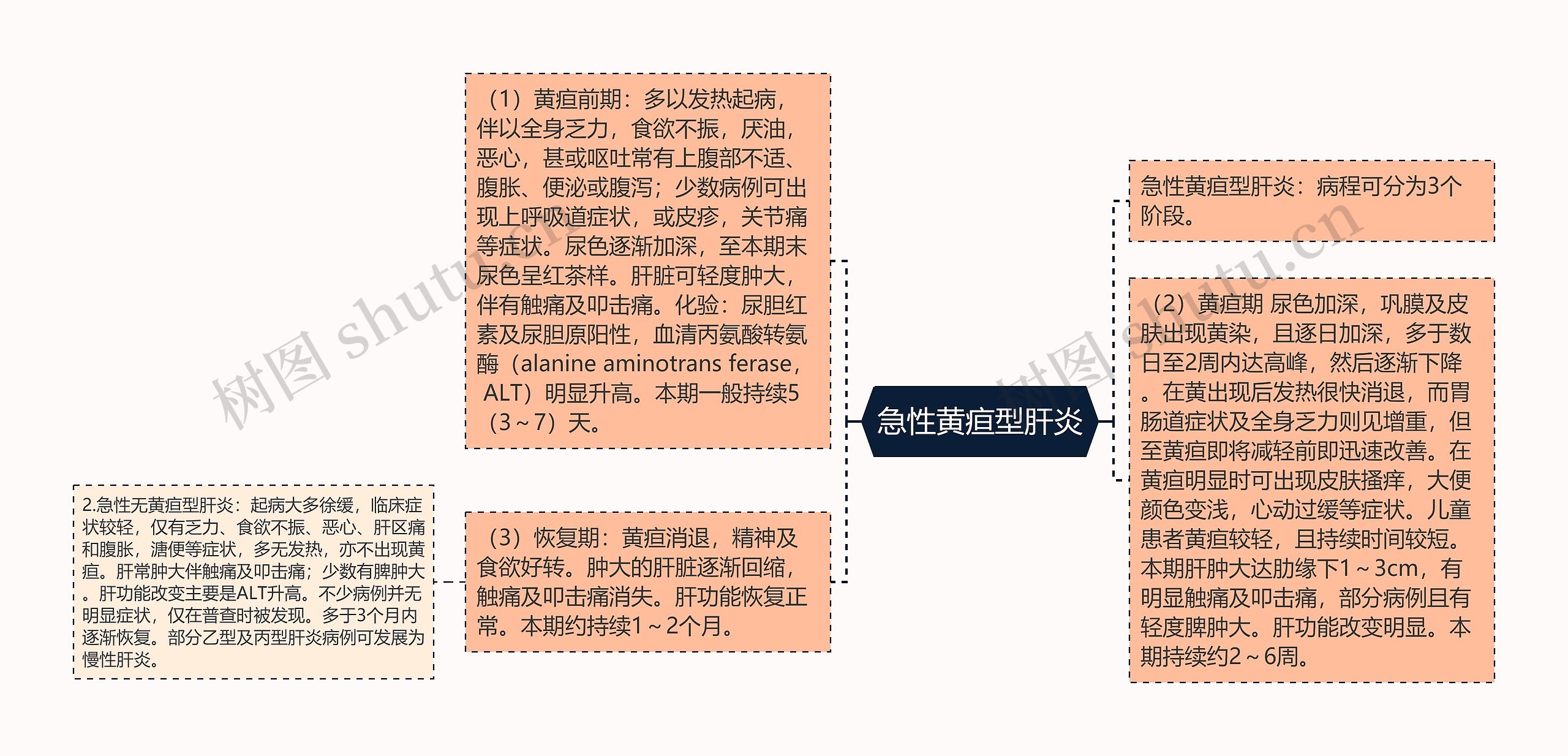 急性黄疸型肝炎思维导图