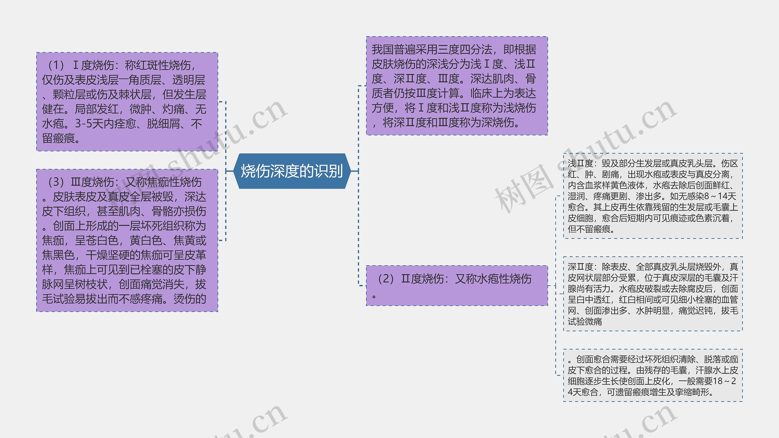 烧伤深度的识别思维导图