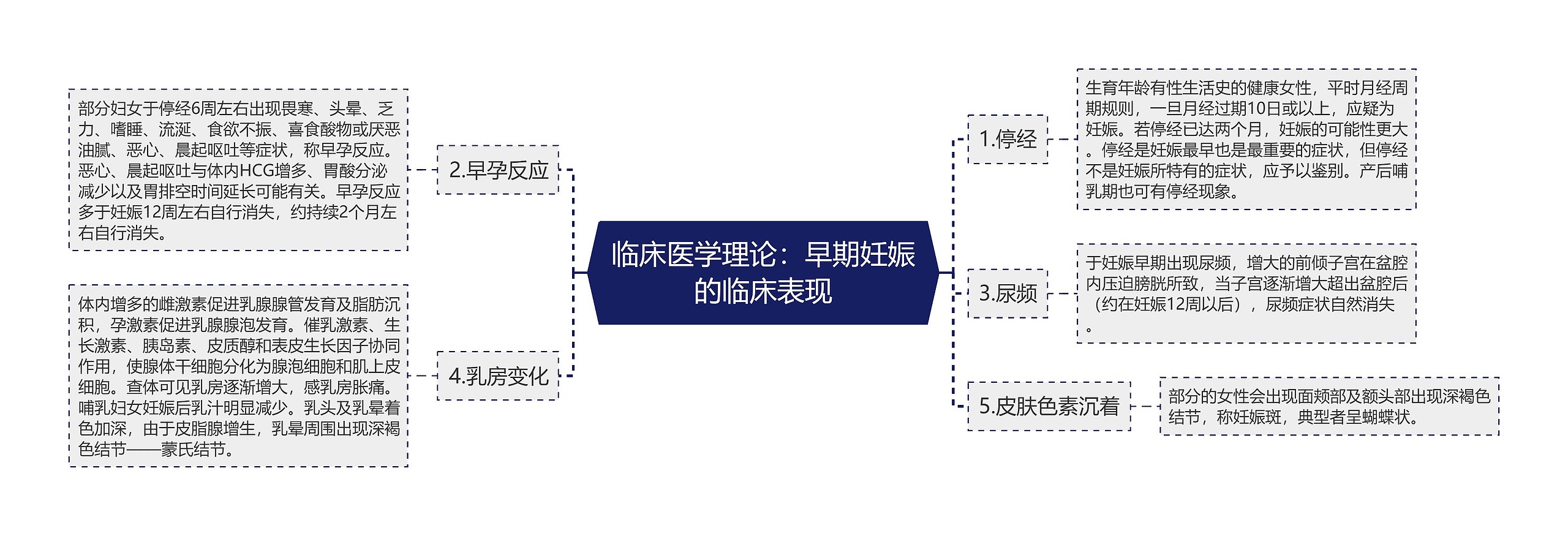 临床医学理论：早期妊娠的临床表现