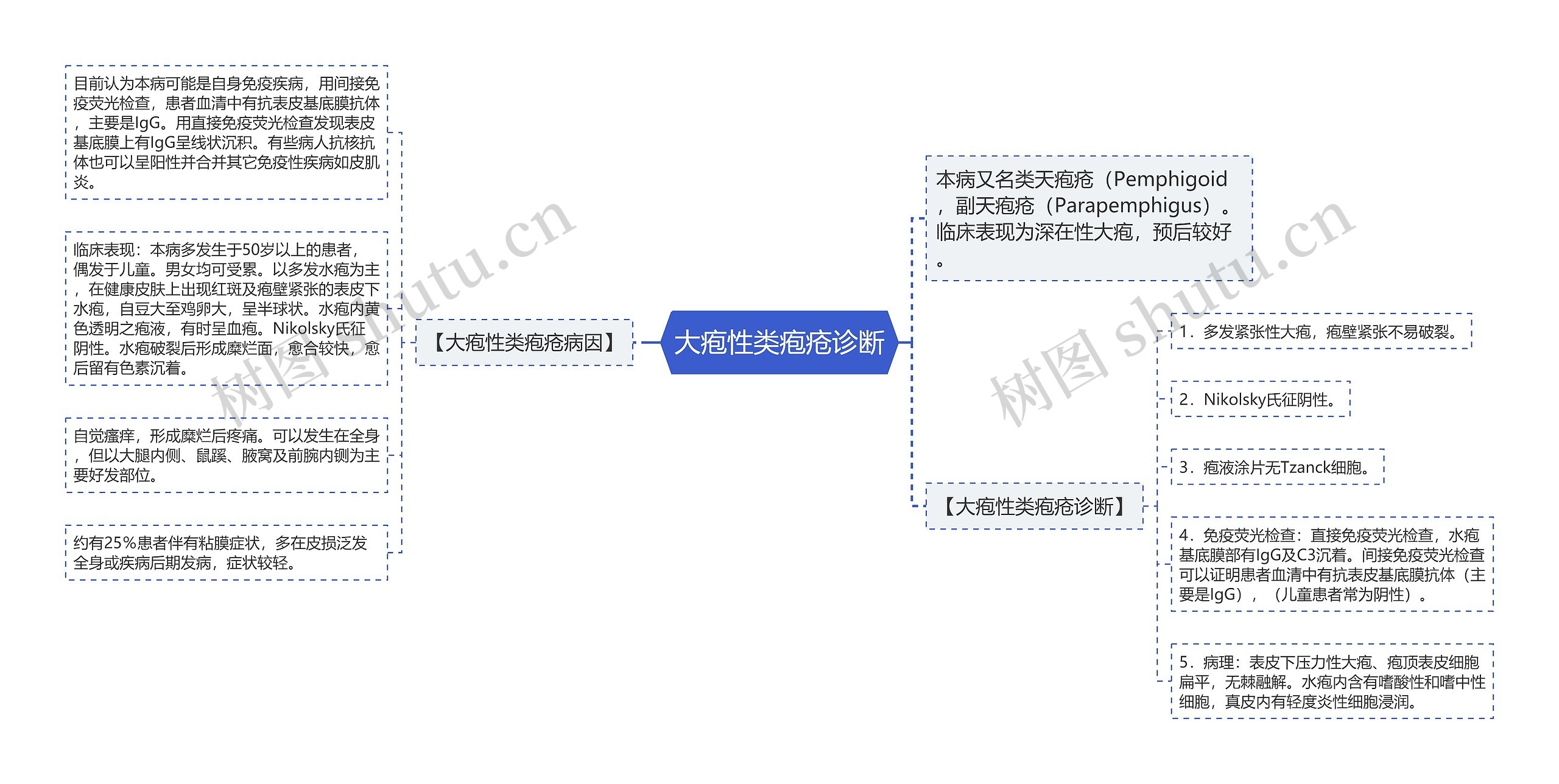 大疱性类疱疮诊断思维导图