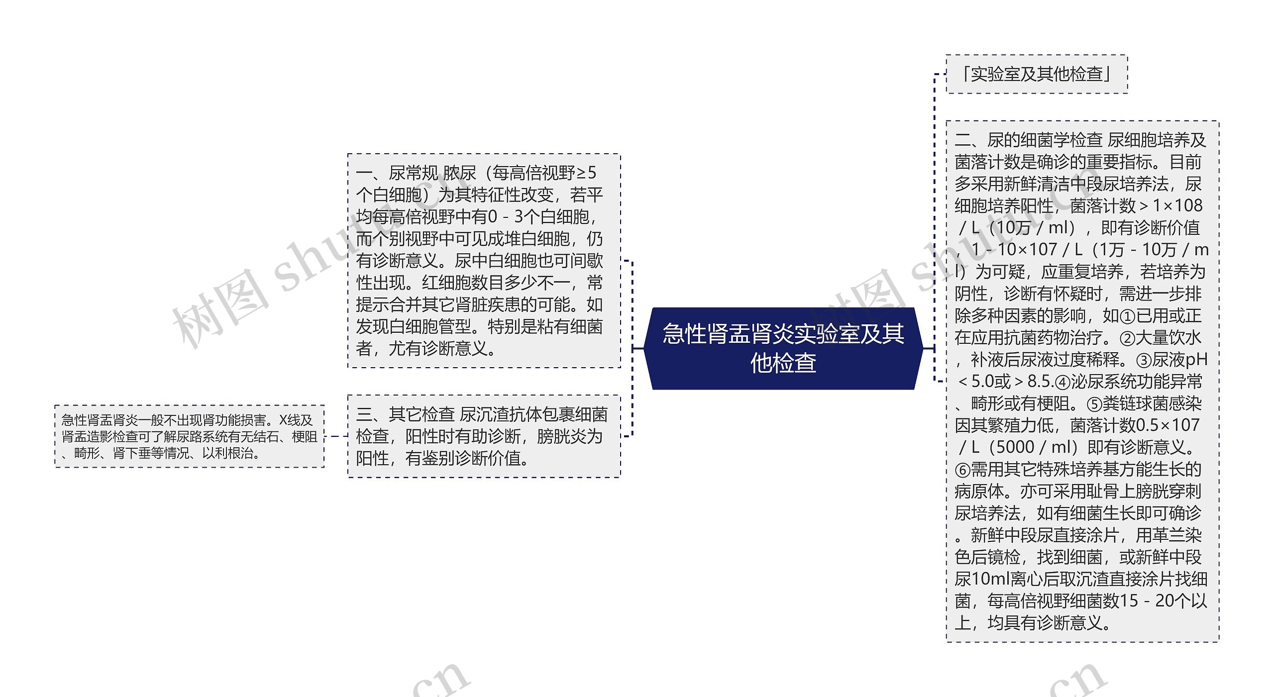 急性肾盂肾炎实验室及其他检查