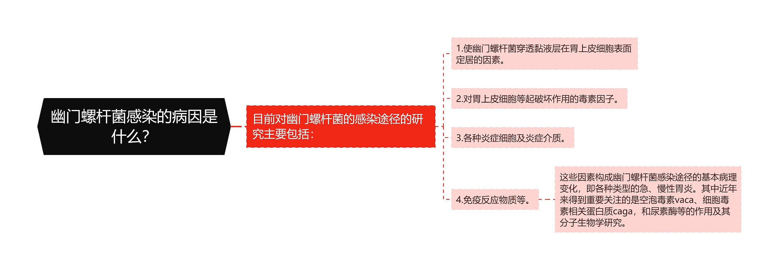 幽门螺杆菌感染的病因是什么？思维导图