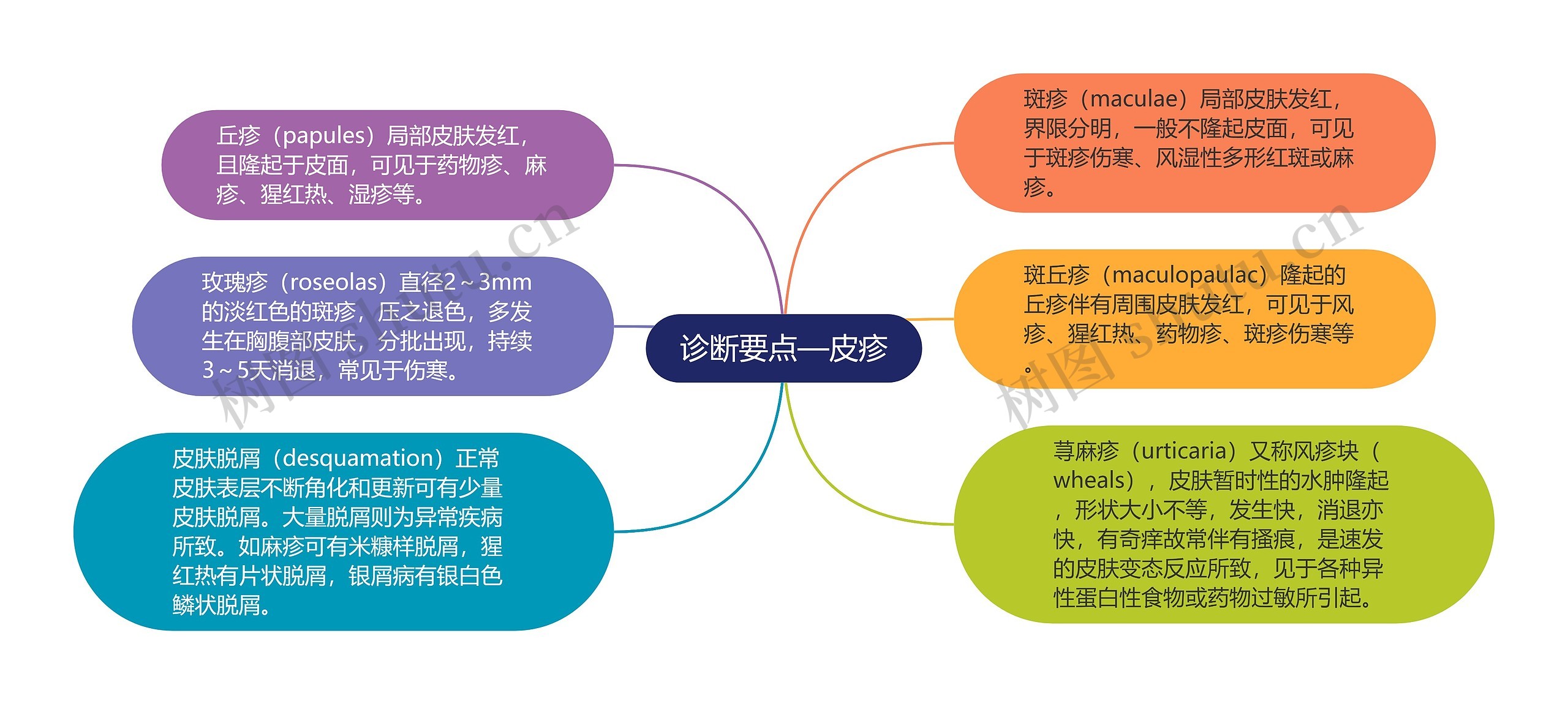 诊断要点—皮疹