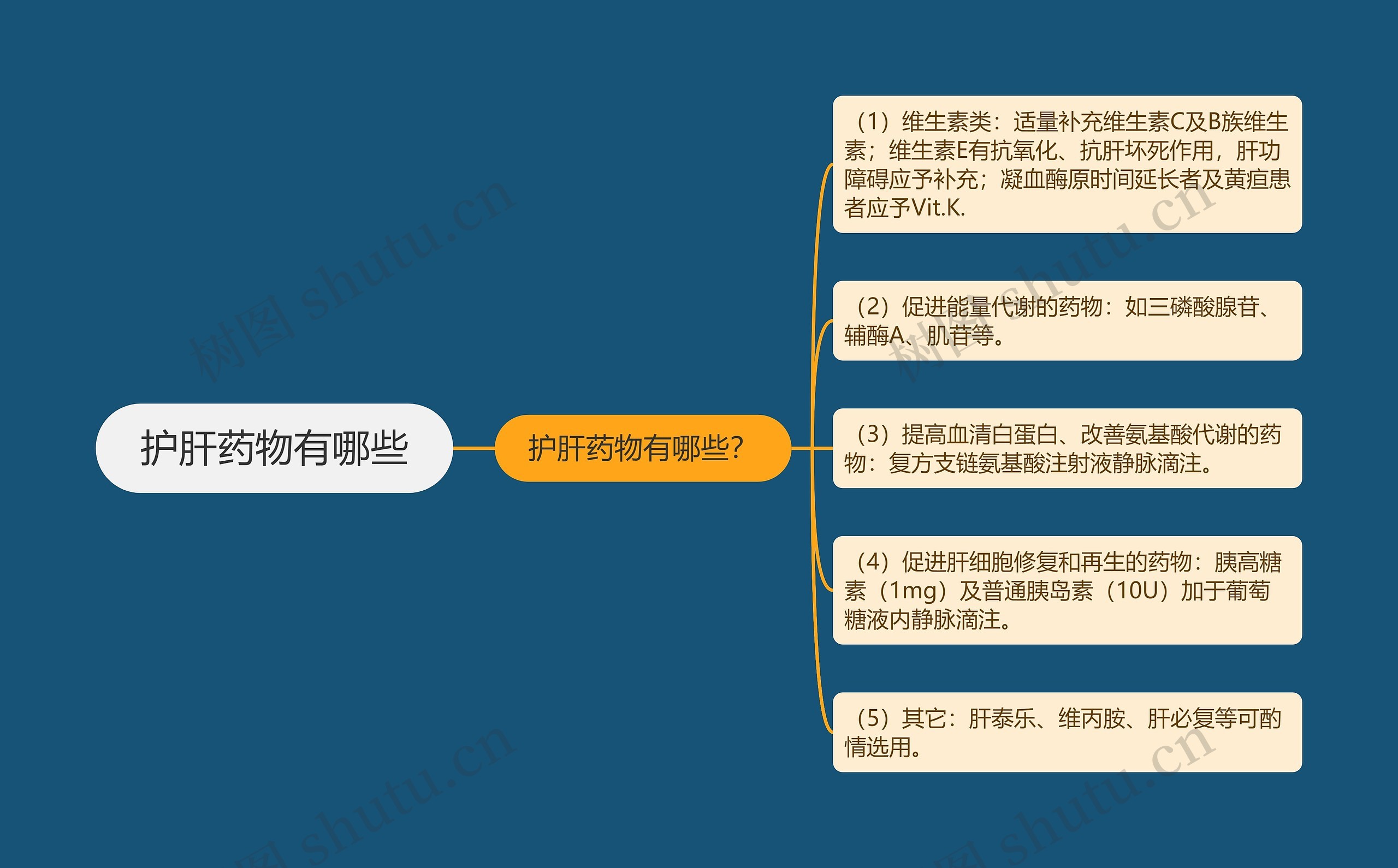 护肝药物有哪些 护肝药物有哪些