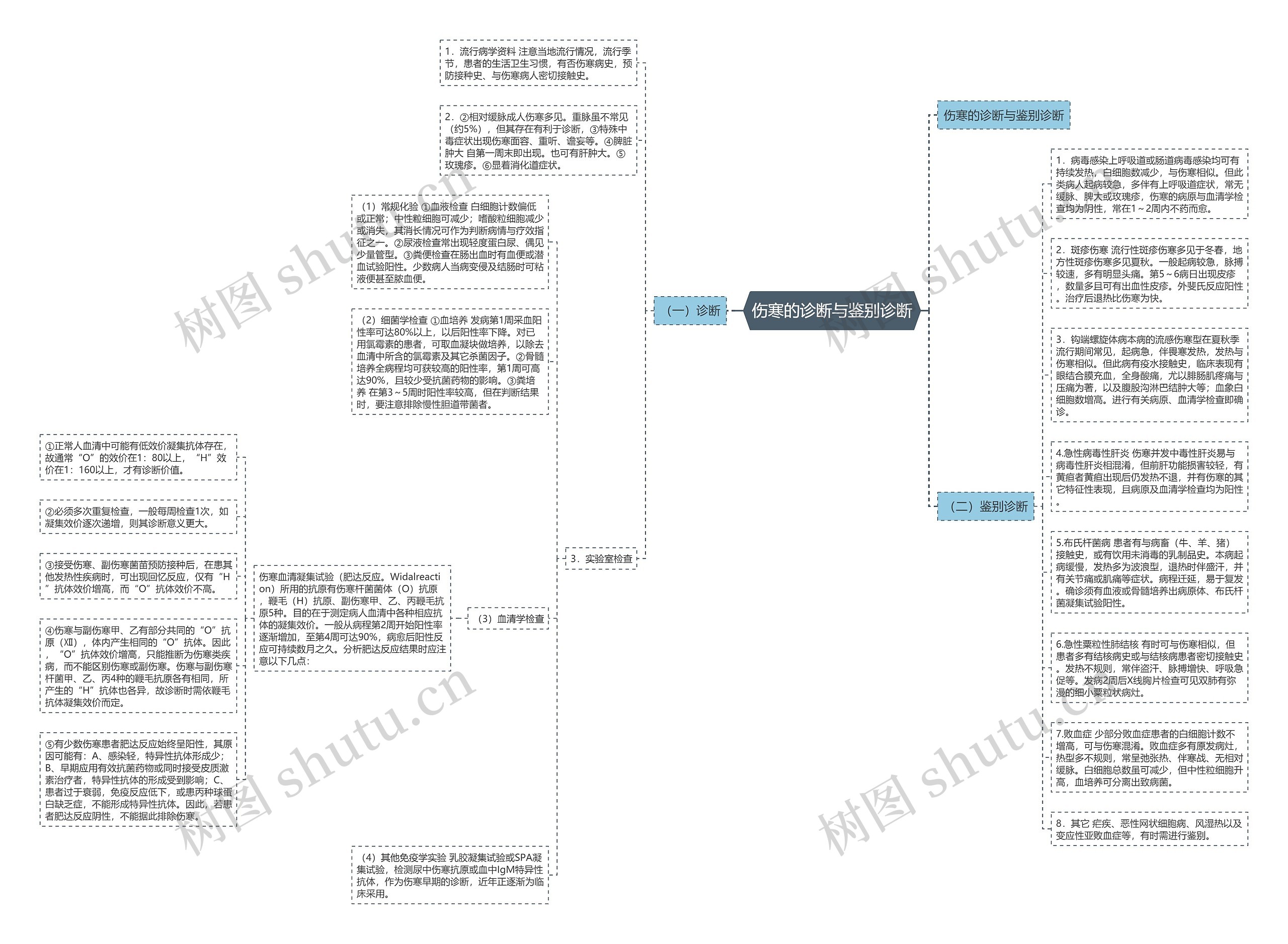伤寒的诊断与鉴别诊断思维导图