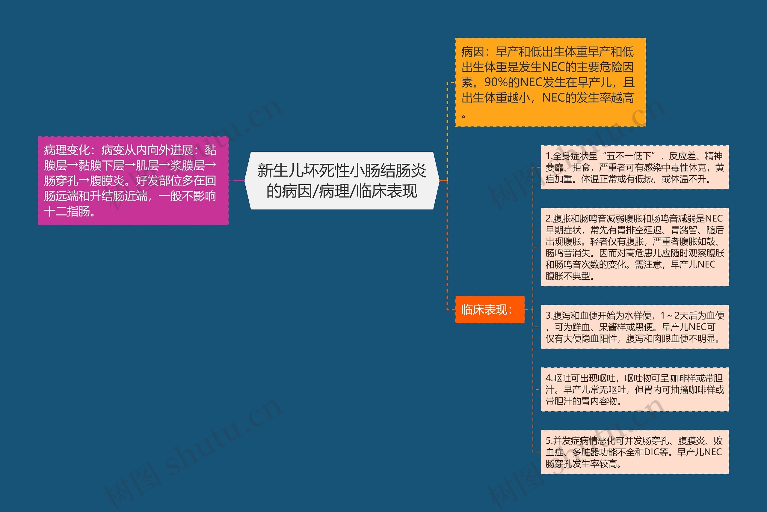 新生儿坏死性小肠结肠炎的病因/病理/临床表现