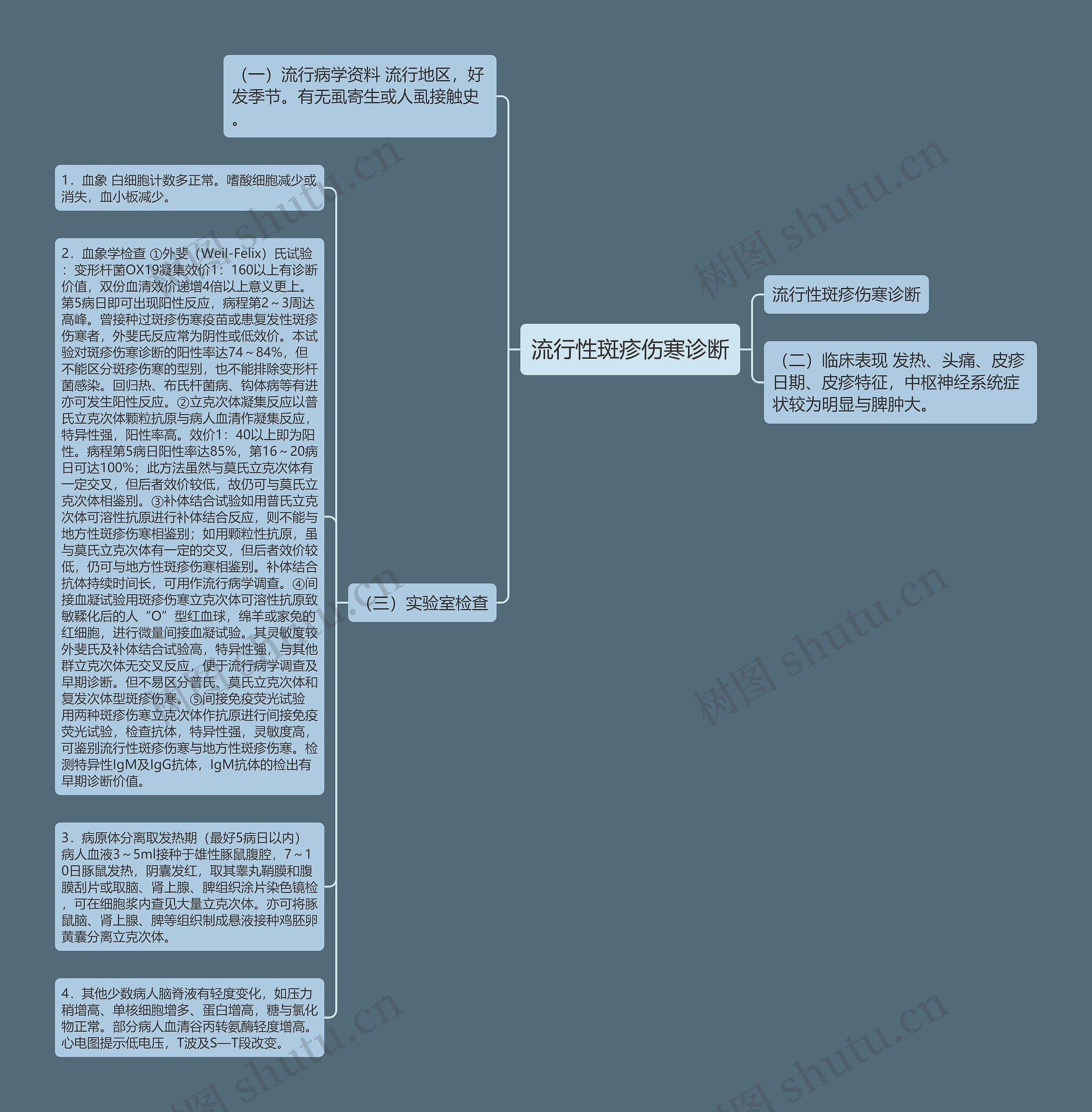 流行性斑疹伤寒诊断思维导图