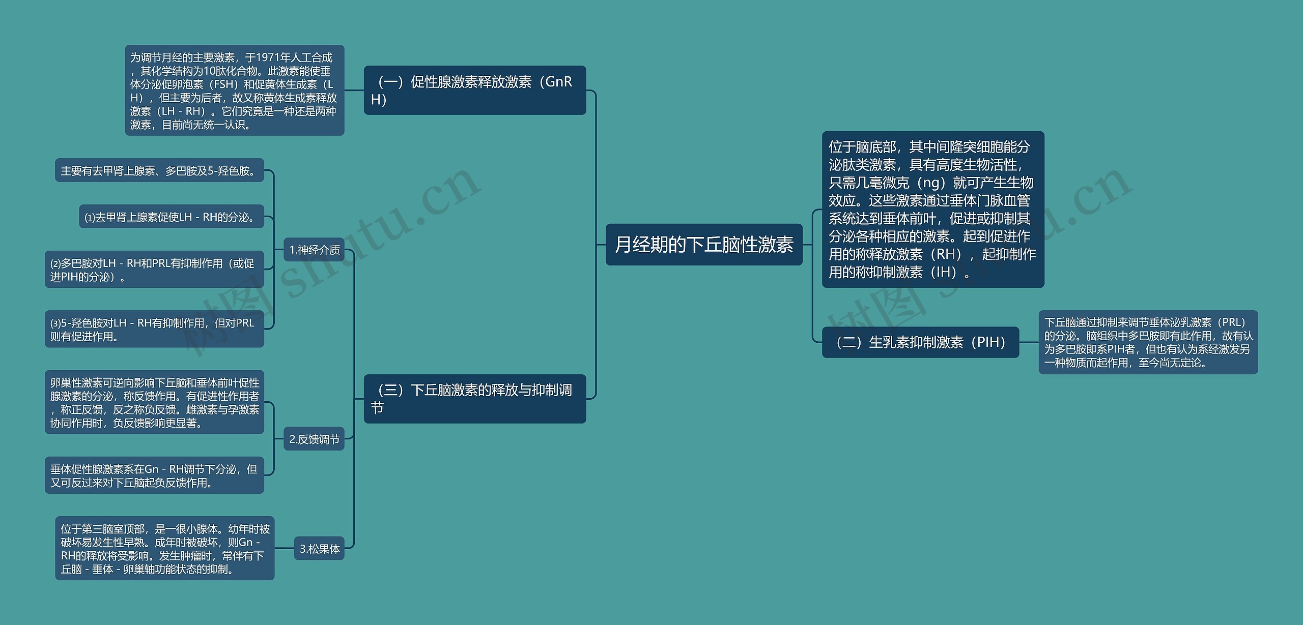 月经期的下丘脑性激素 月经期的下丘脑性激素