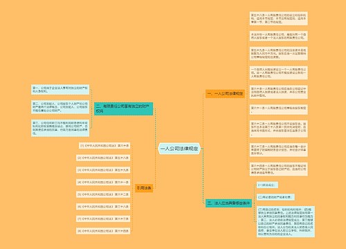 一人公司法律规定
