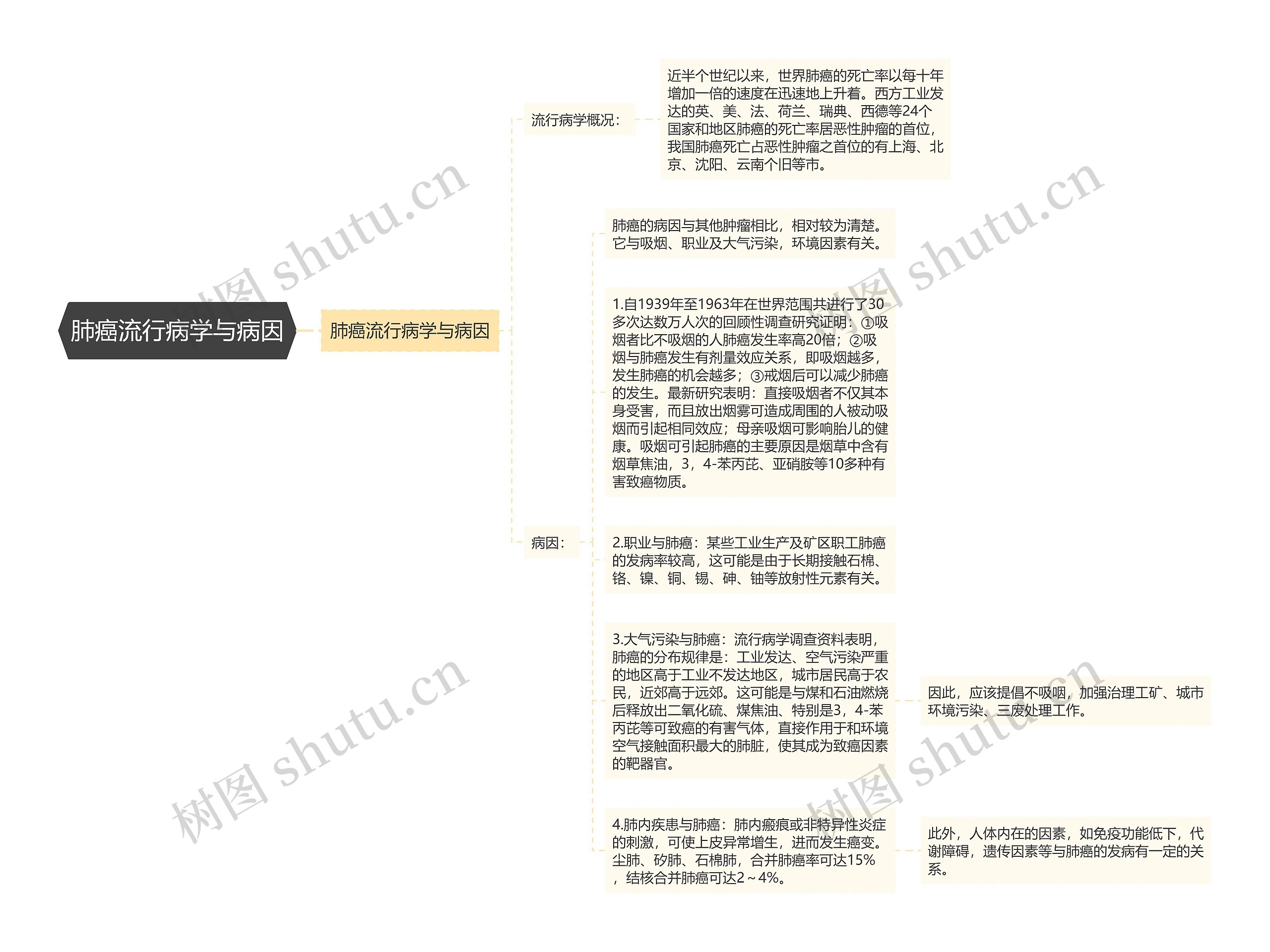 肺癌流行病学与病因思维导图