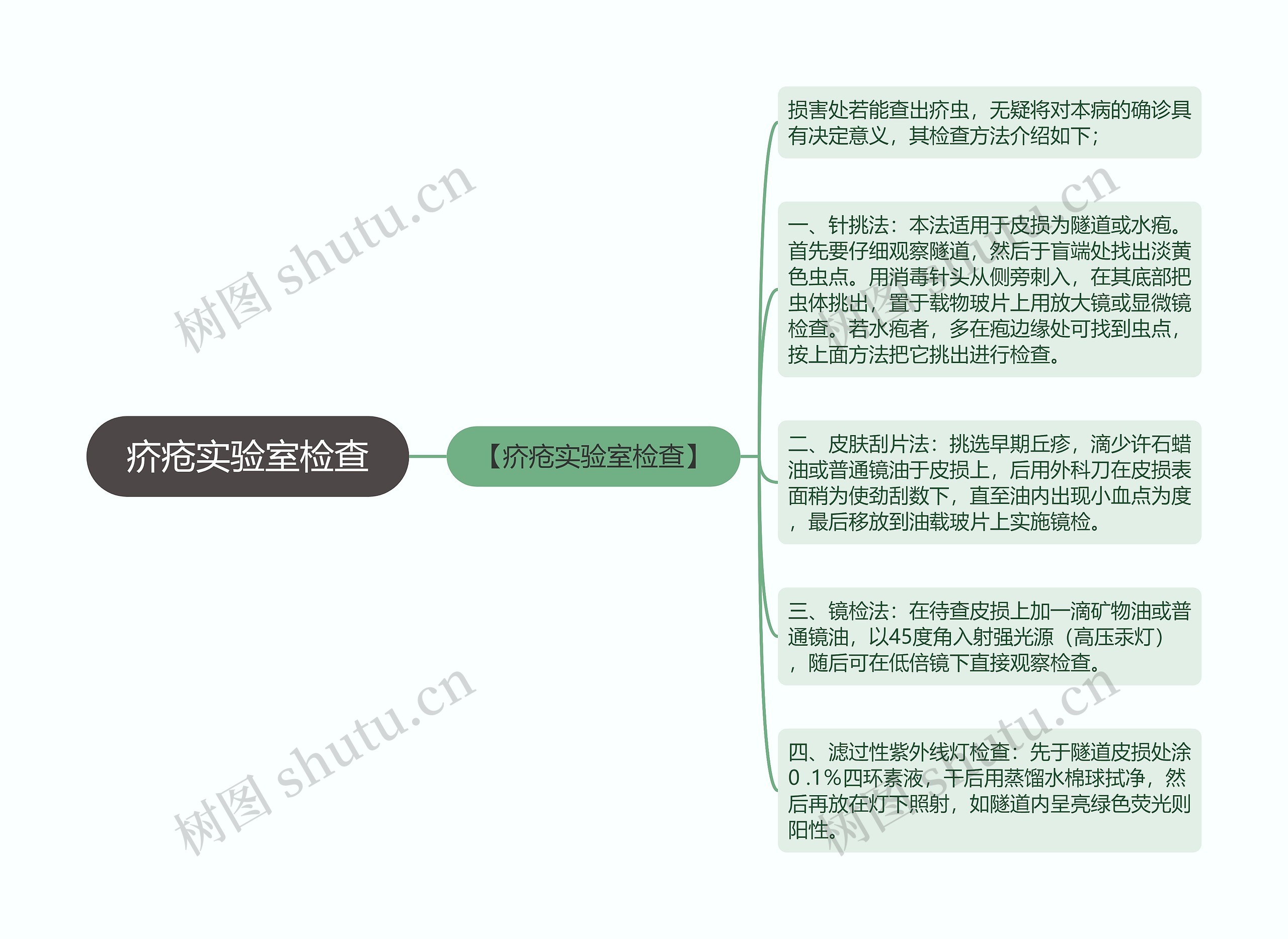 疥疮实验室检查思维导图